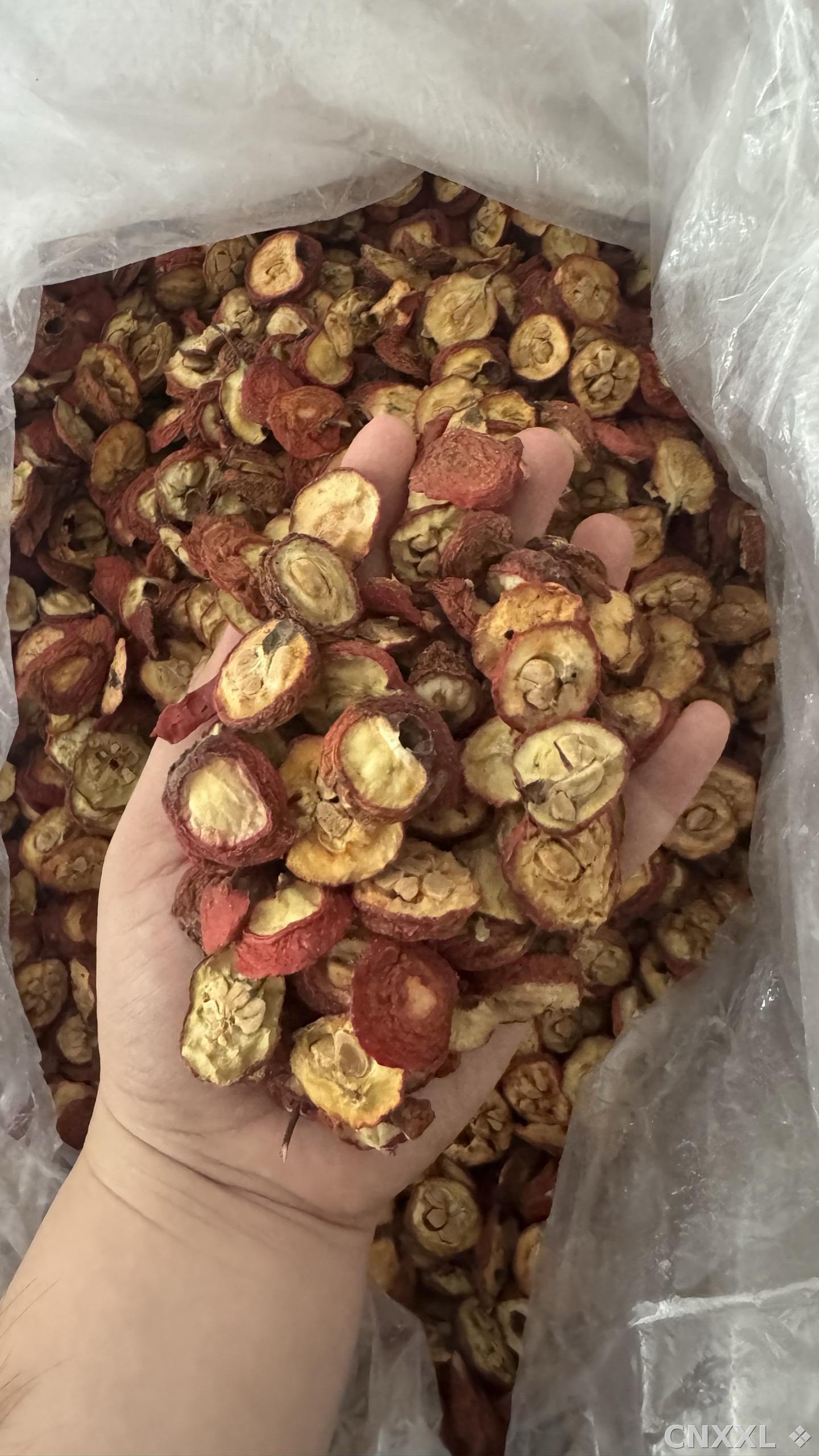spice_10103_66509eec_1.jpg