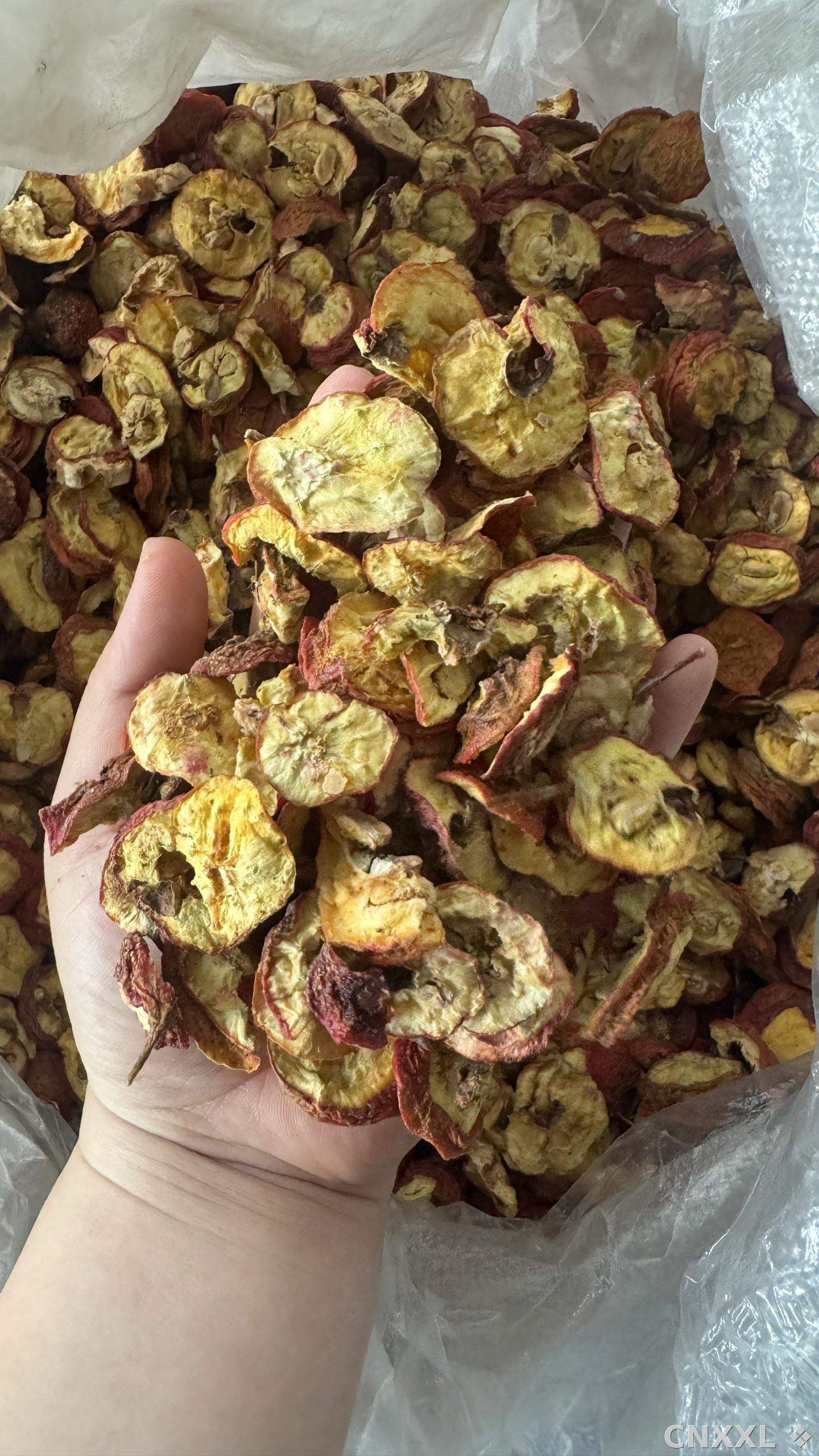 spice_10104_310500b0_2.jpg
