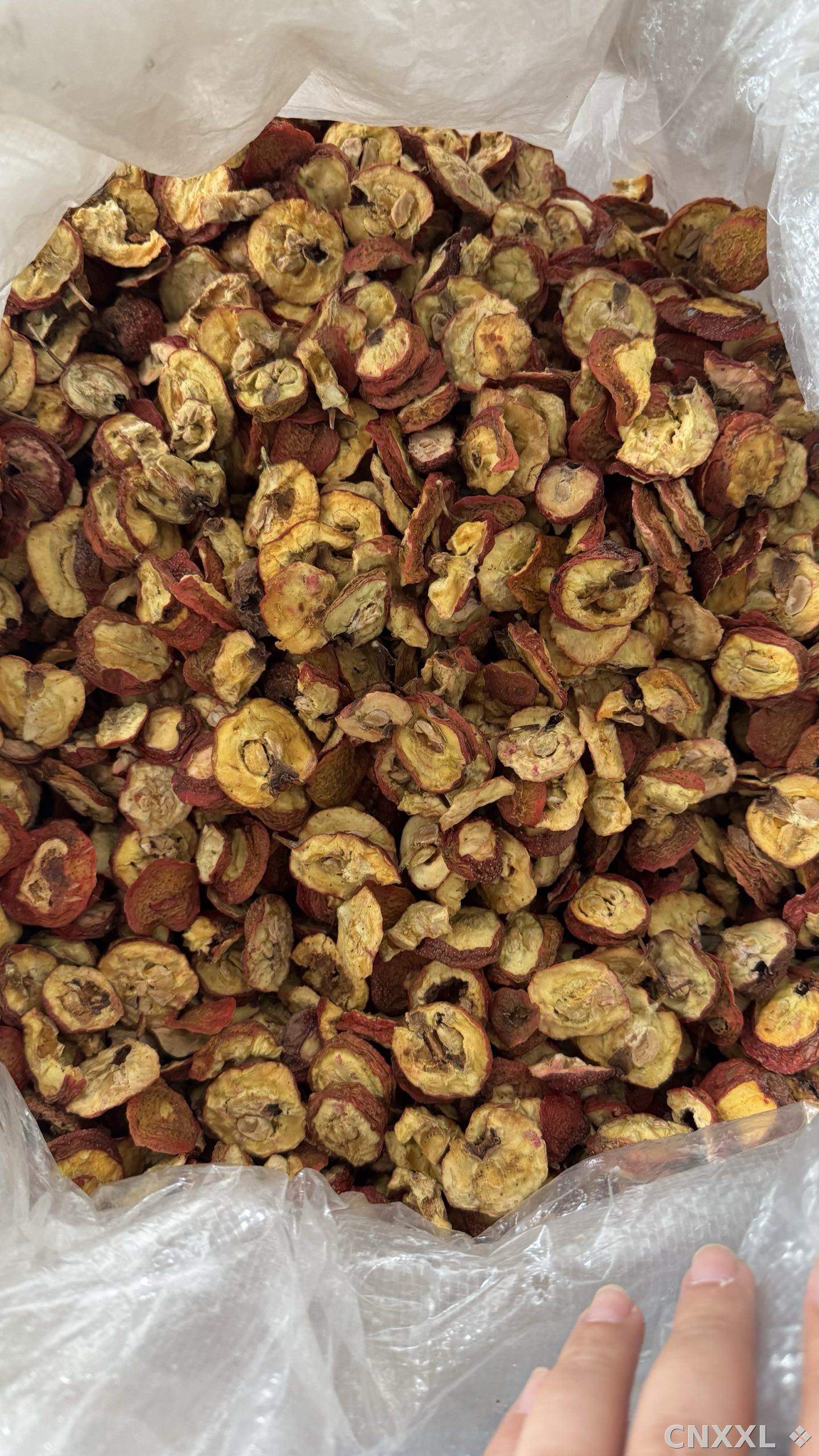 spice_10104_6d0940db_3.jpg