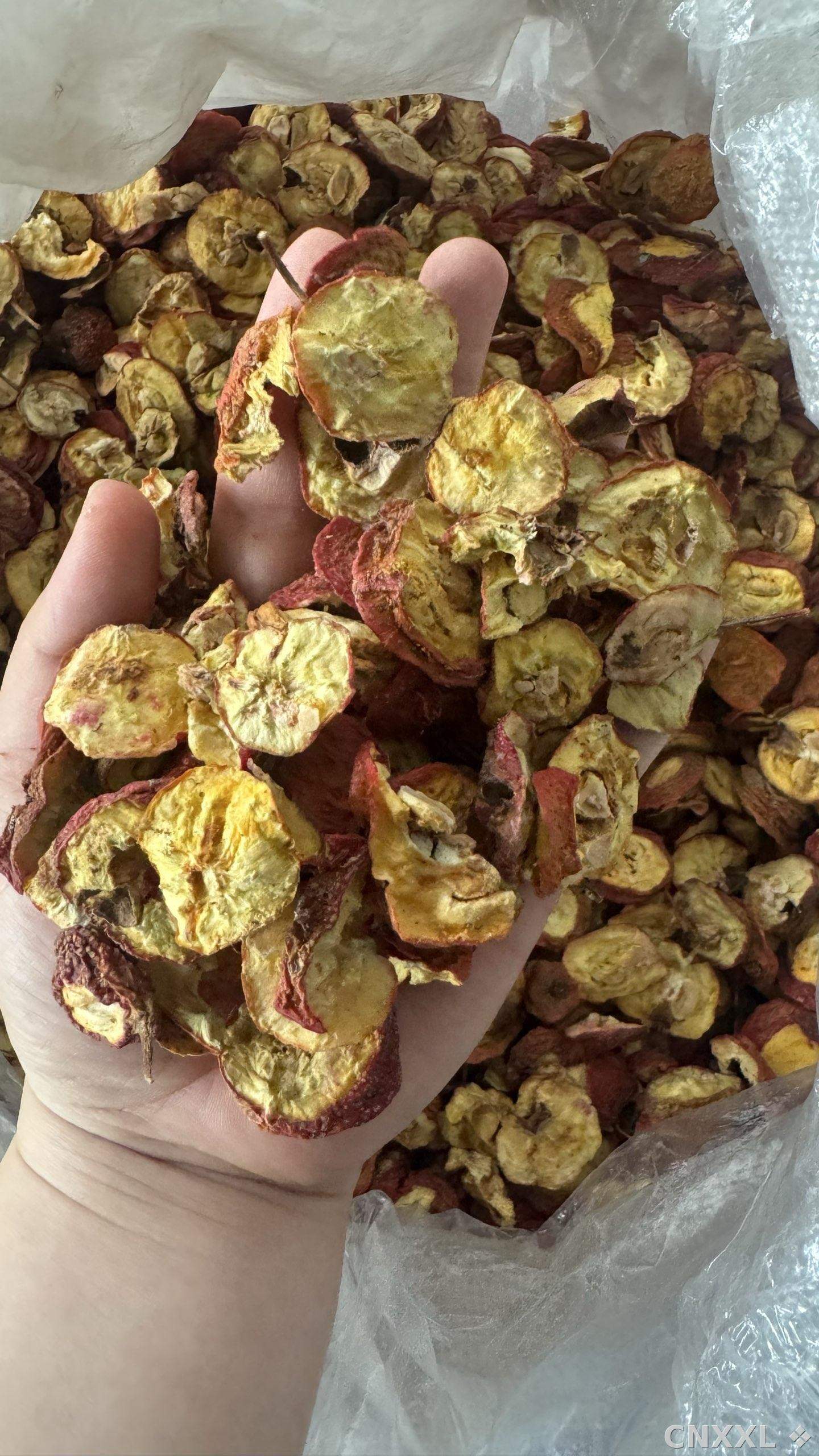 spice_10104_ccff1300_1.jpg