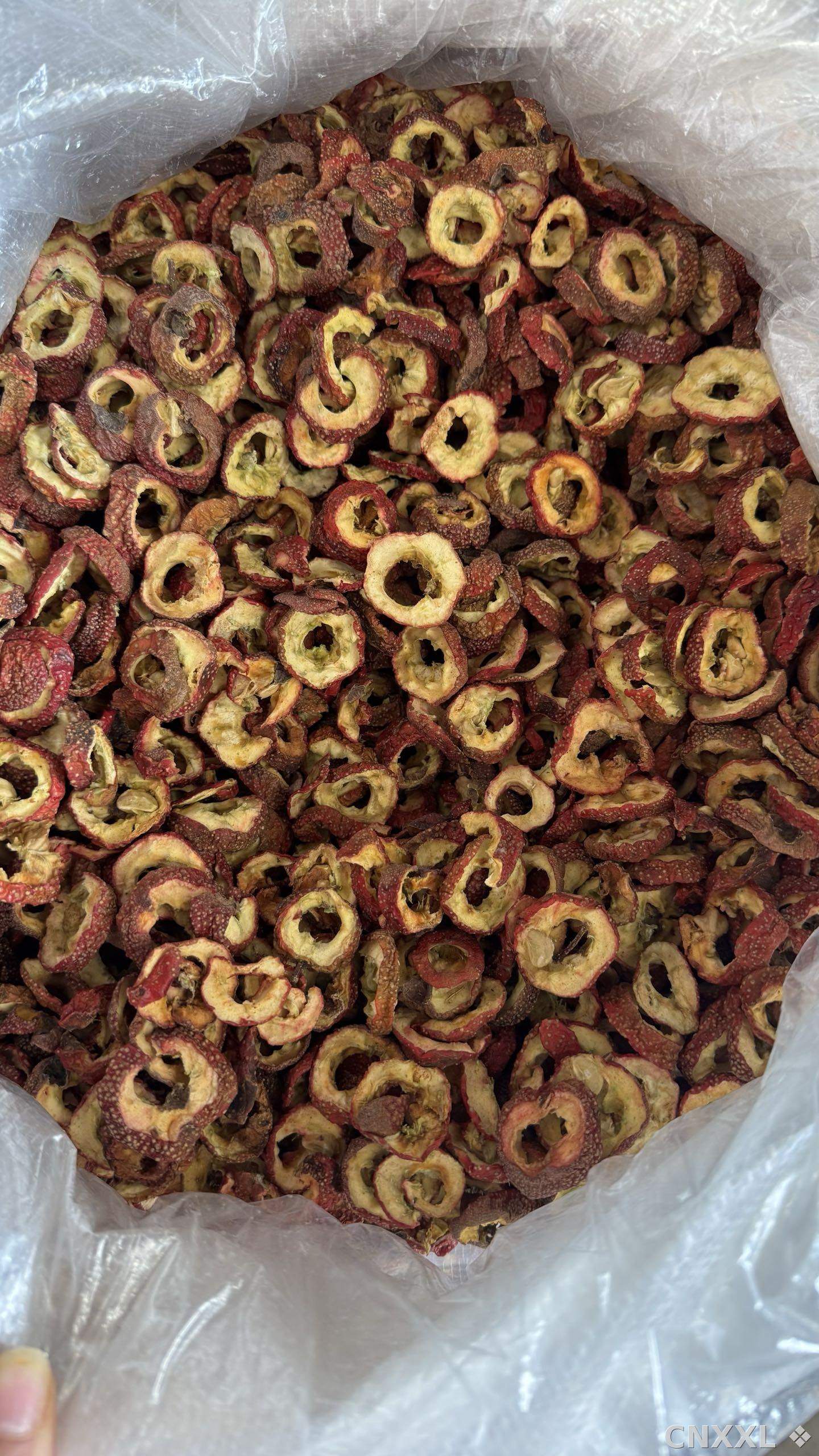 spice_10105_10eebf1a_3.jpg