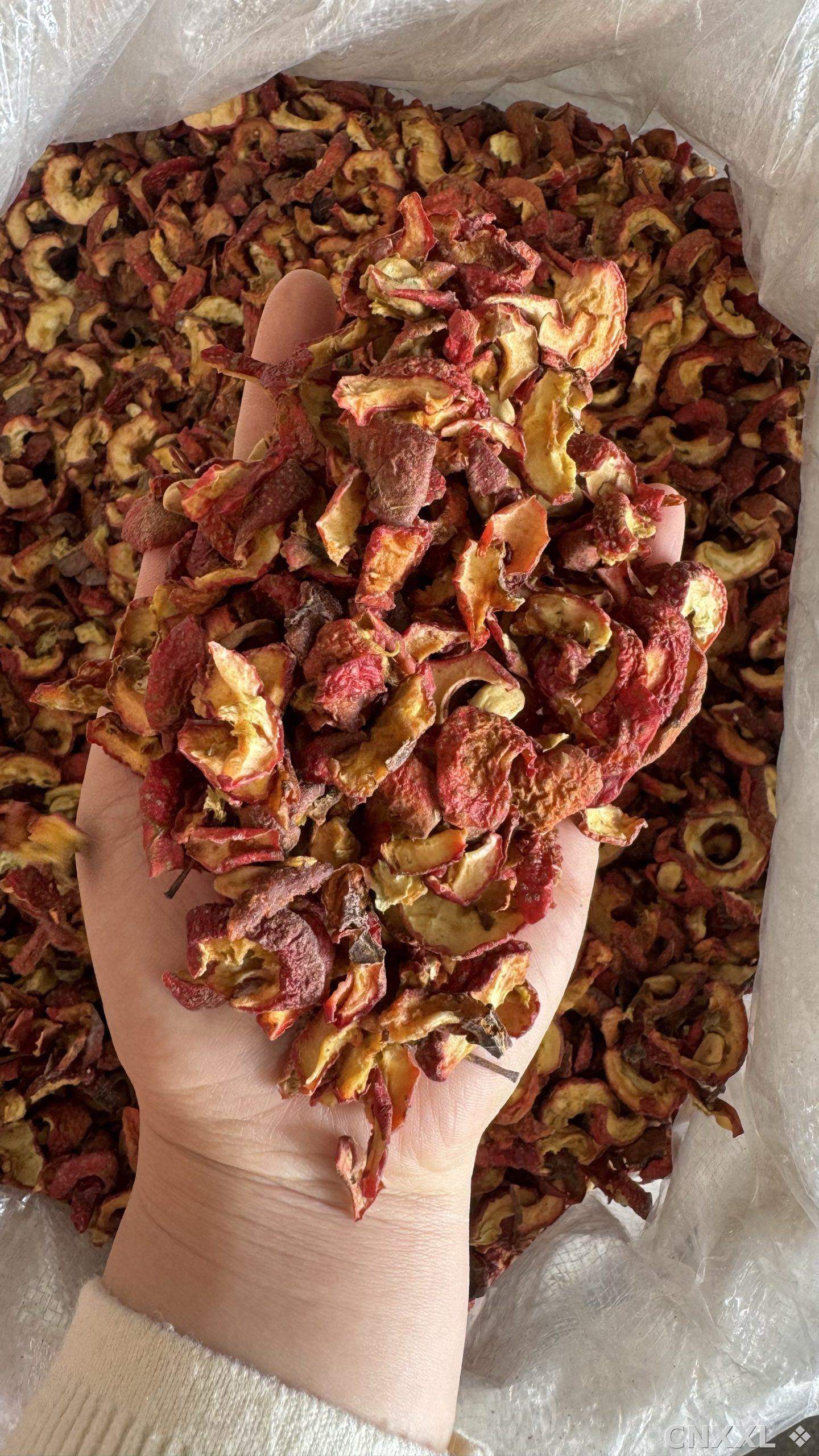 spice_10107_18a9e1d2_2.jpg
