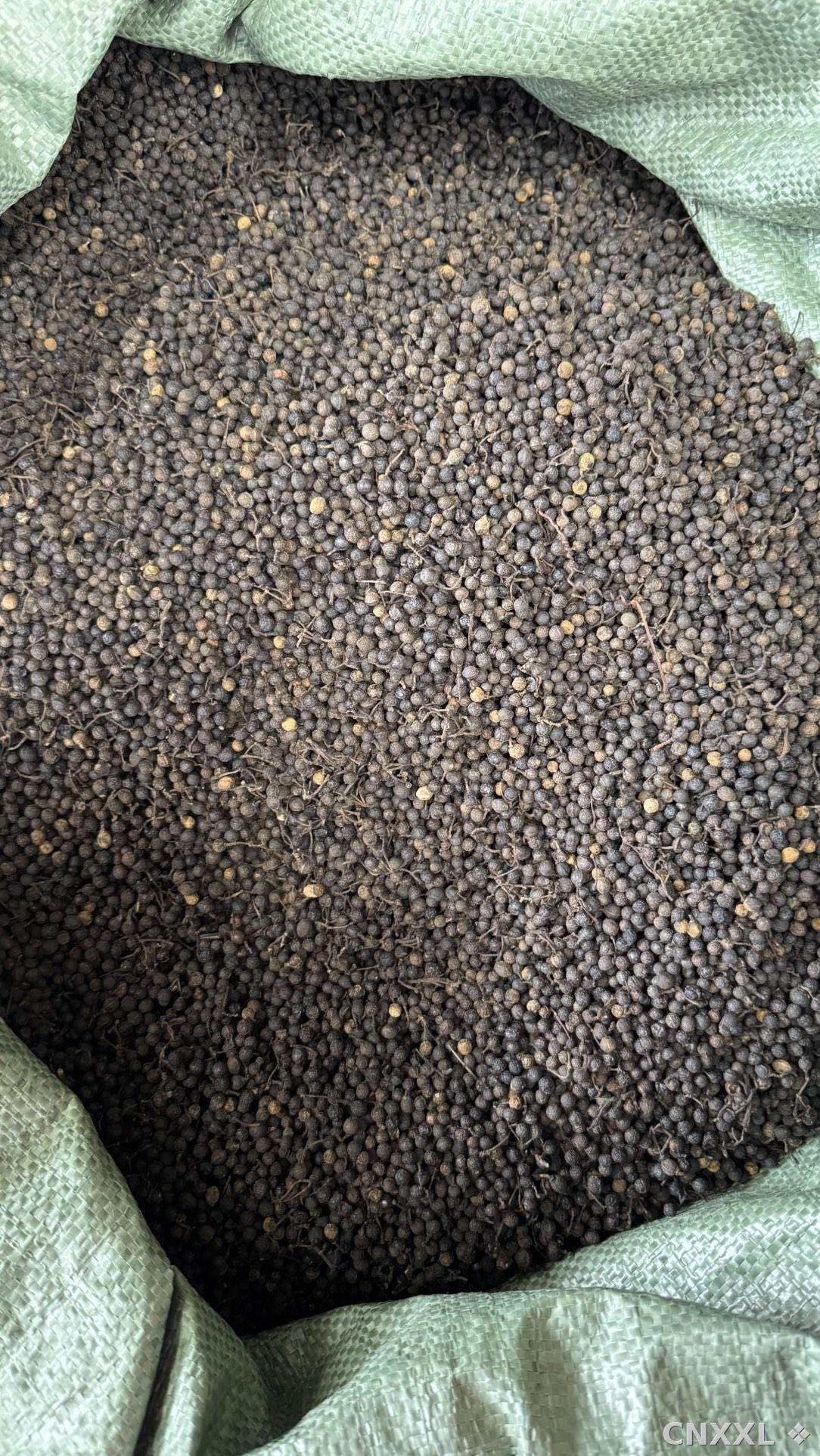 spice_104_2966ada8_3.jpg