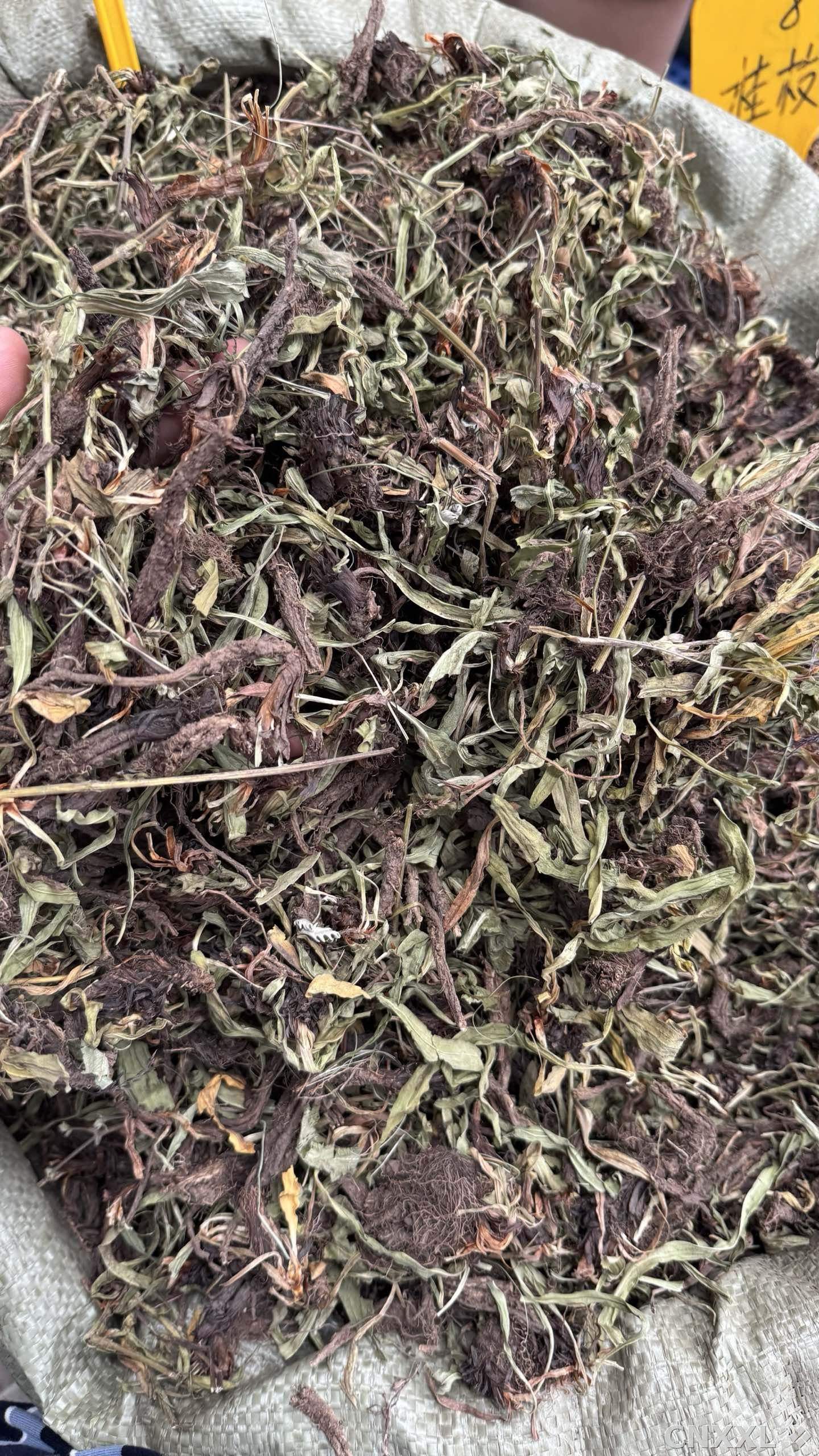 spice_10651_4c50c93a_3.jpg