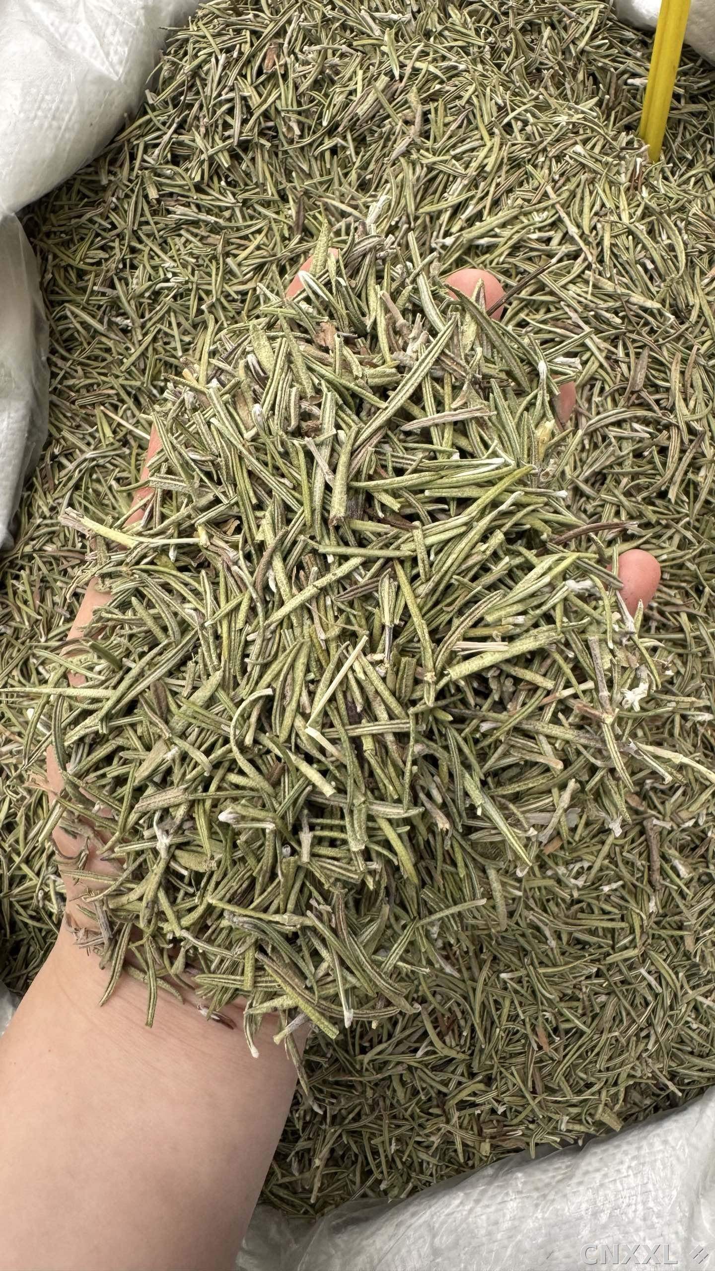 spice_10681_c71ceeb5_2.jpg
