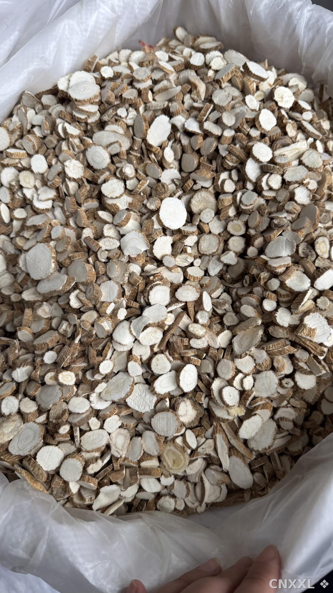 spice_10725_de6b666d_3.jpg