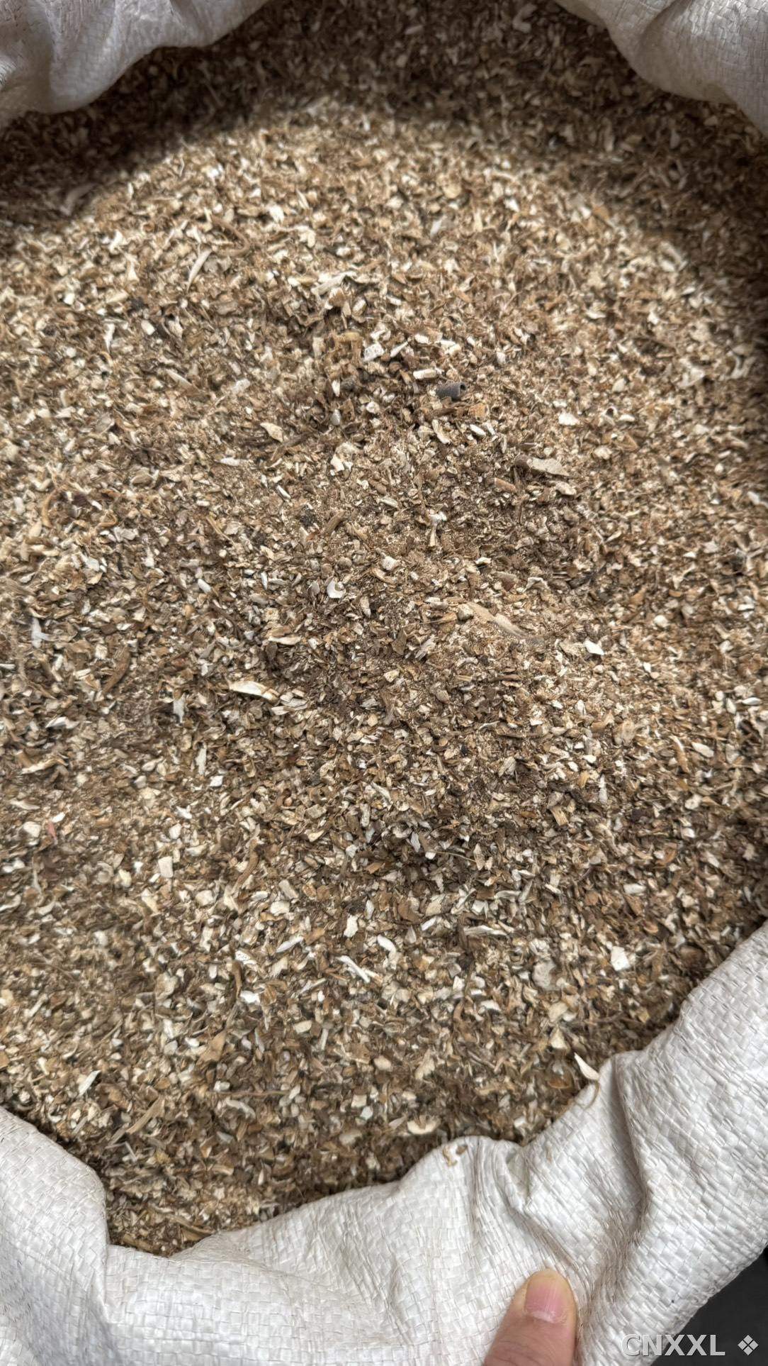 spice_10726_a142bde9_3.jpg