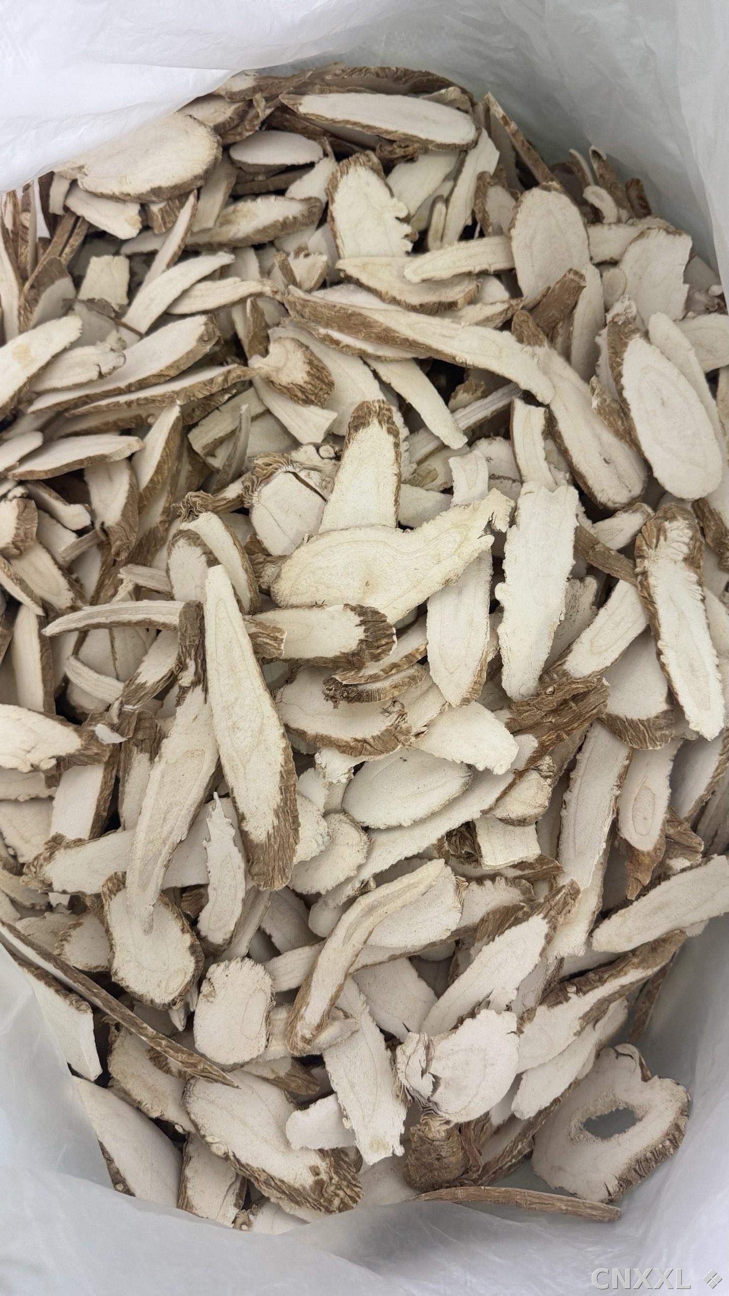 spice_10727_b1d0e8cd_3.jpg
