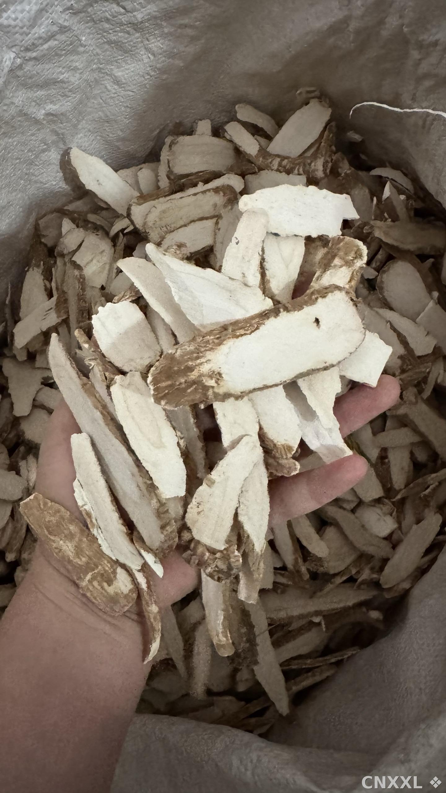 spice_10730_2e925090_1.jpg
