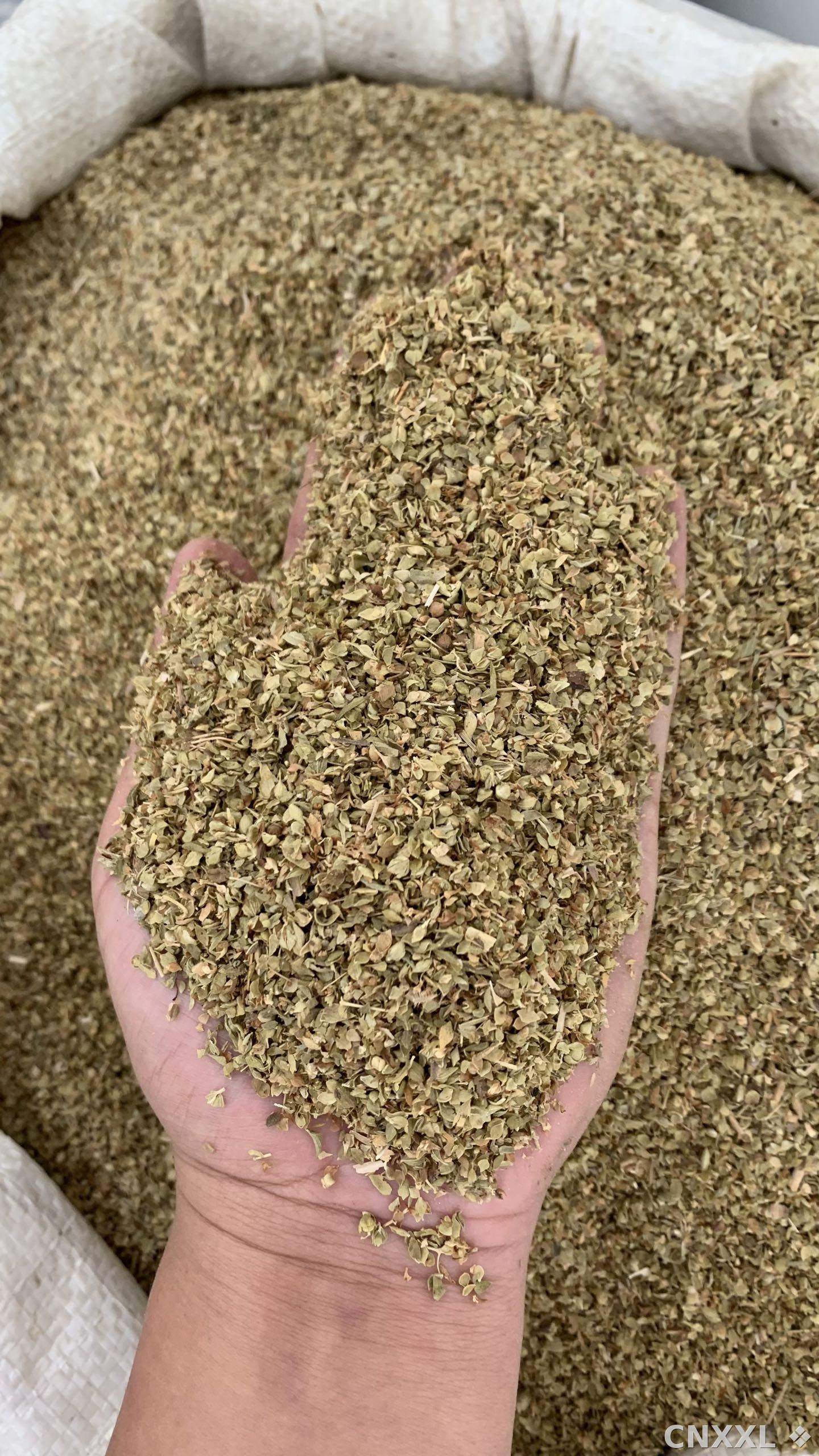 spice_10749_7fef944f_2.jpg