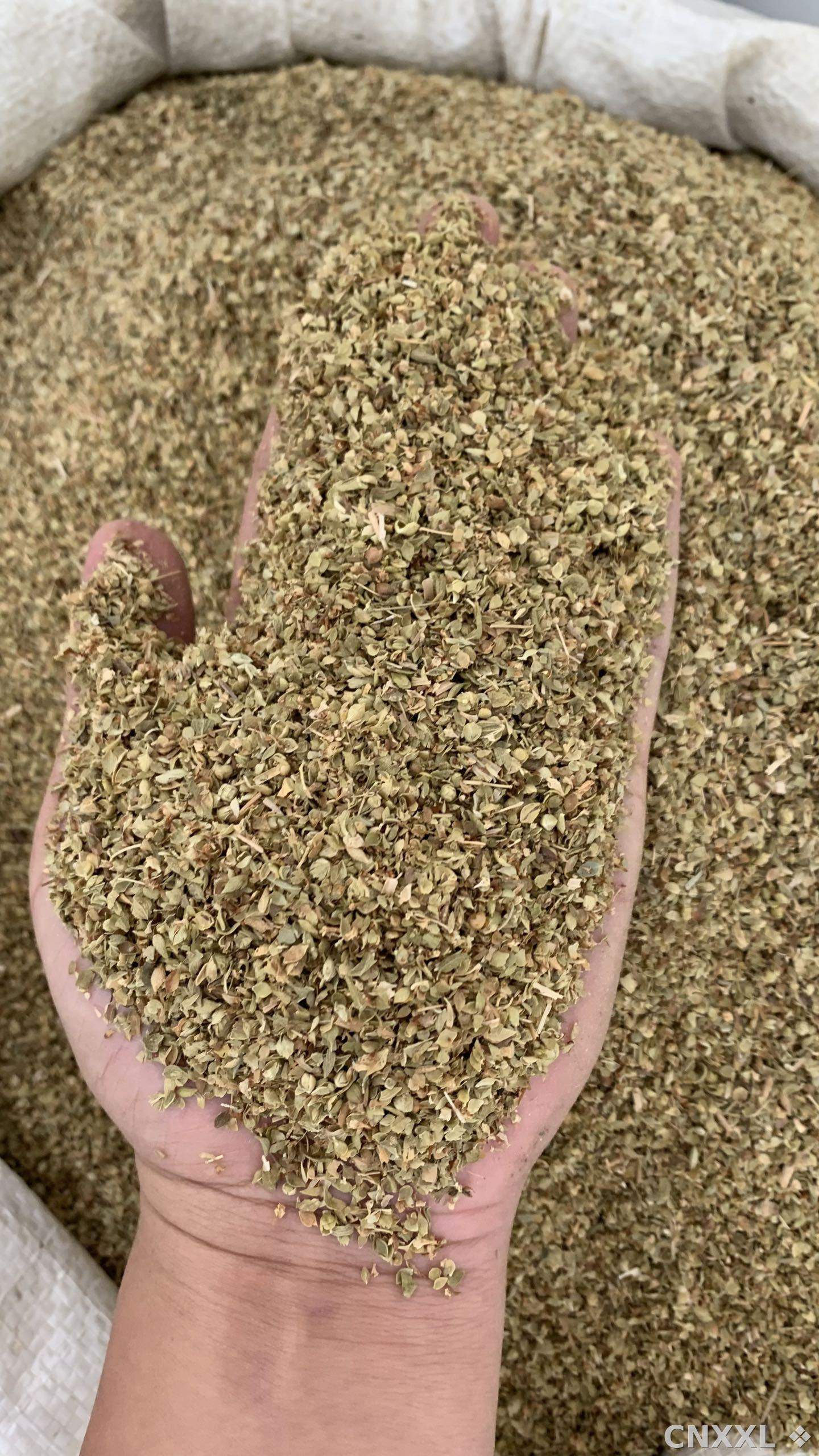 spice_10749_80cfeb18_1.jpg