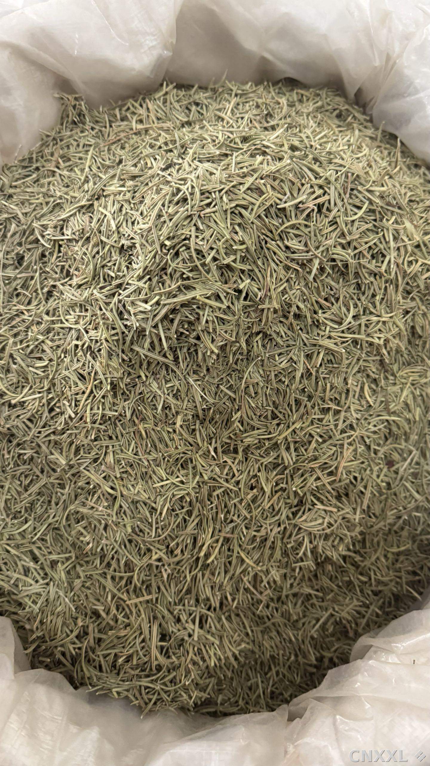 spice_10756_639666e7_3.jpg