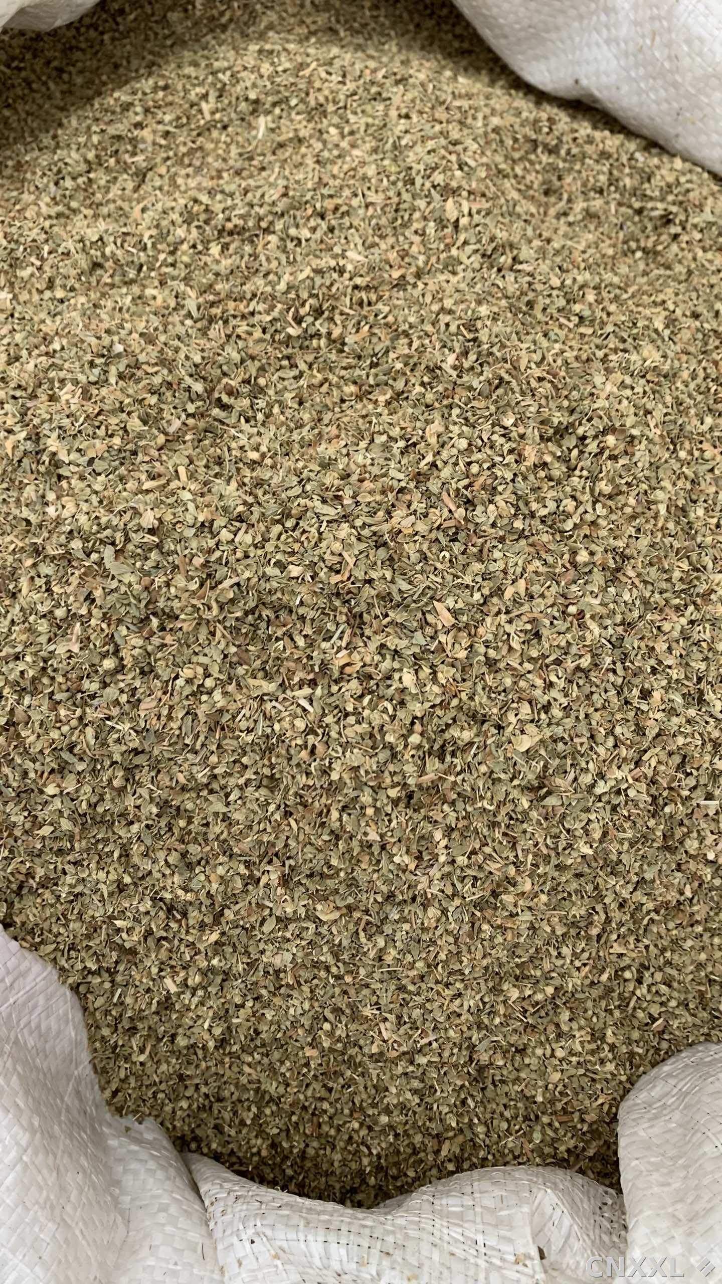 spice_10757_6046dd42_3.jpg