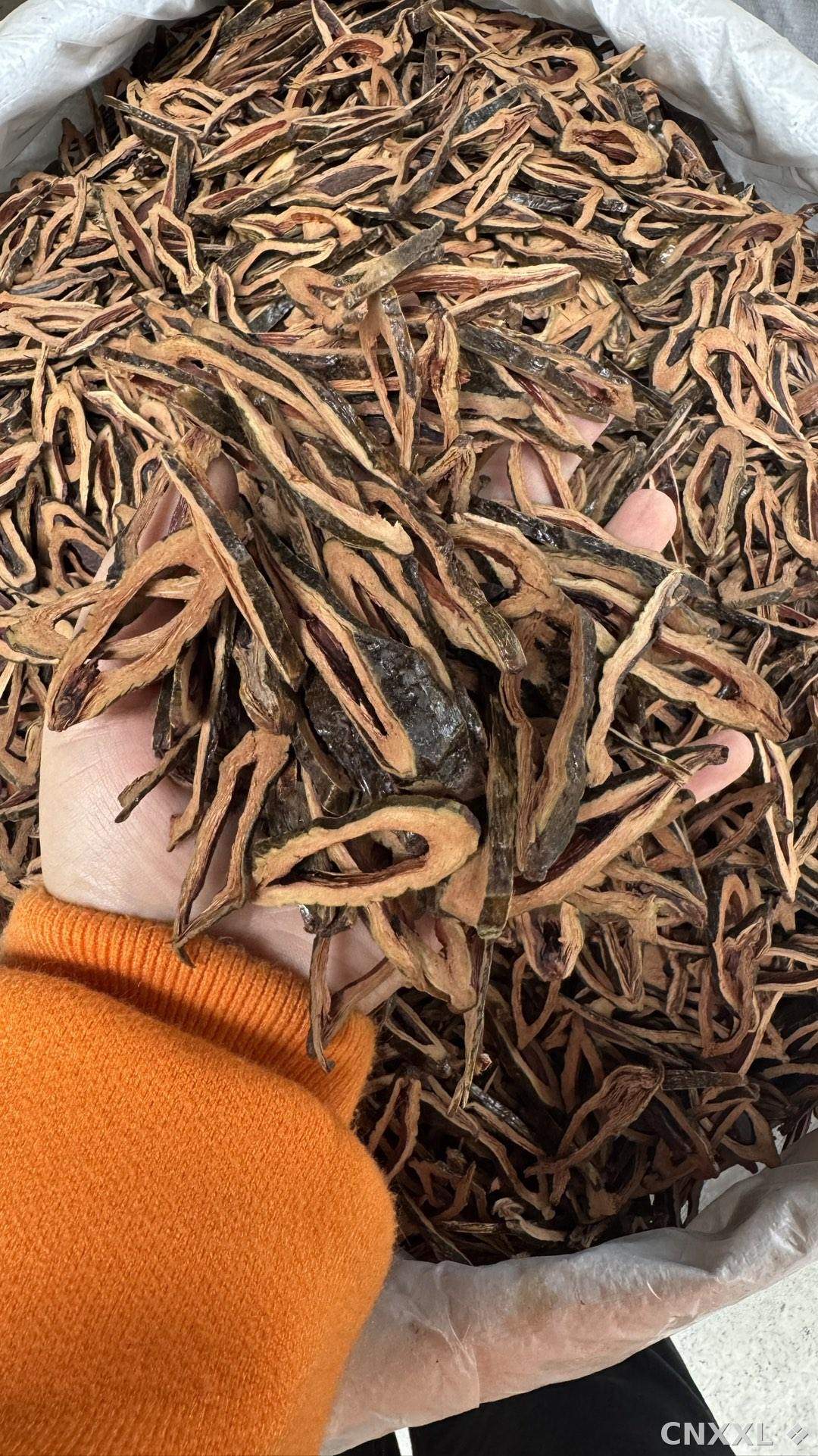 spice_11191_4065cde5_1.jpg