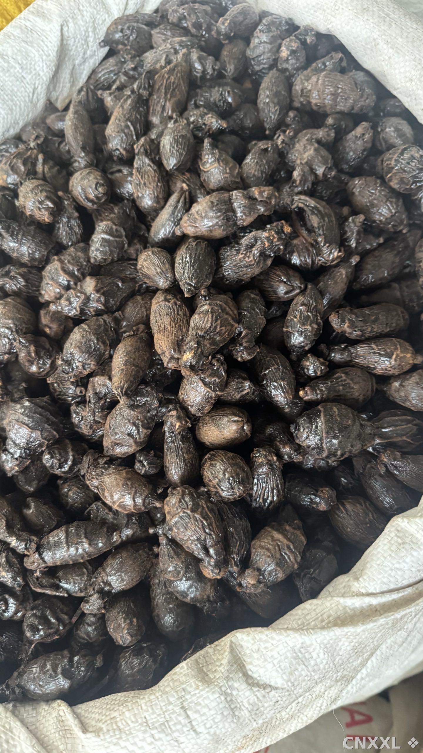spice_11193_bf86ebaf_3.jpg