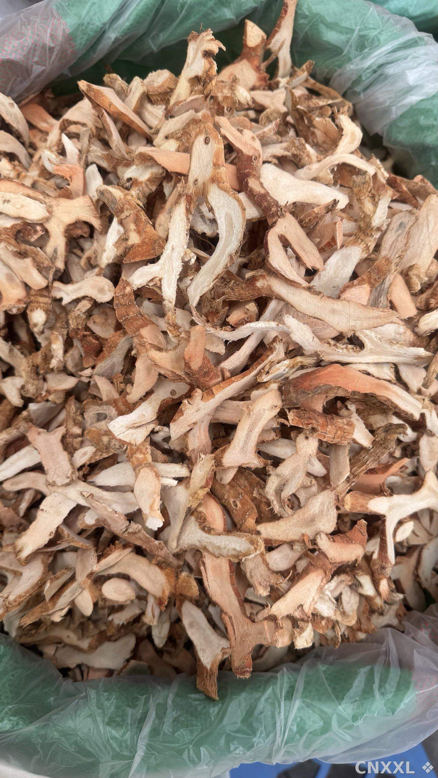 spice_111_e9ad6813_3.jpg