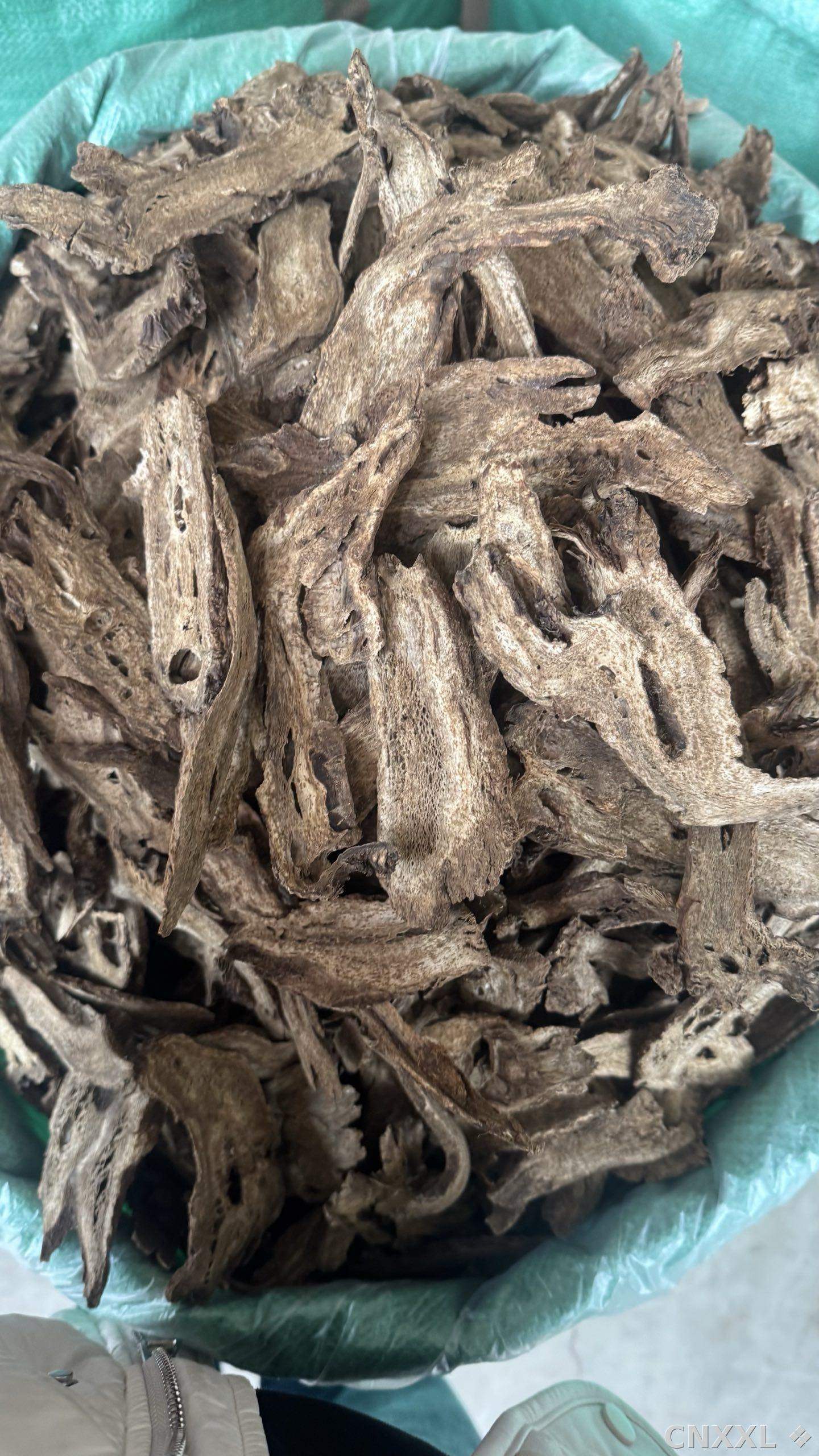 spice_11221_b3cba77c_3.jpg