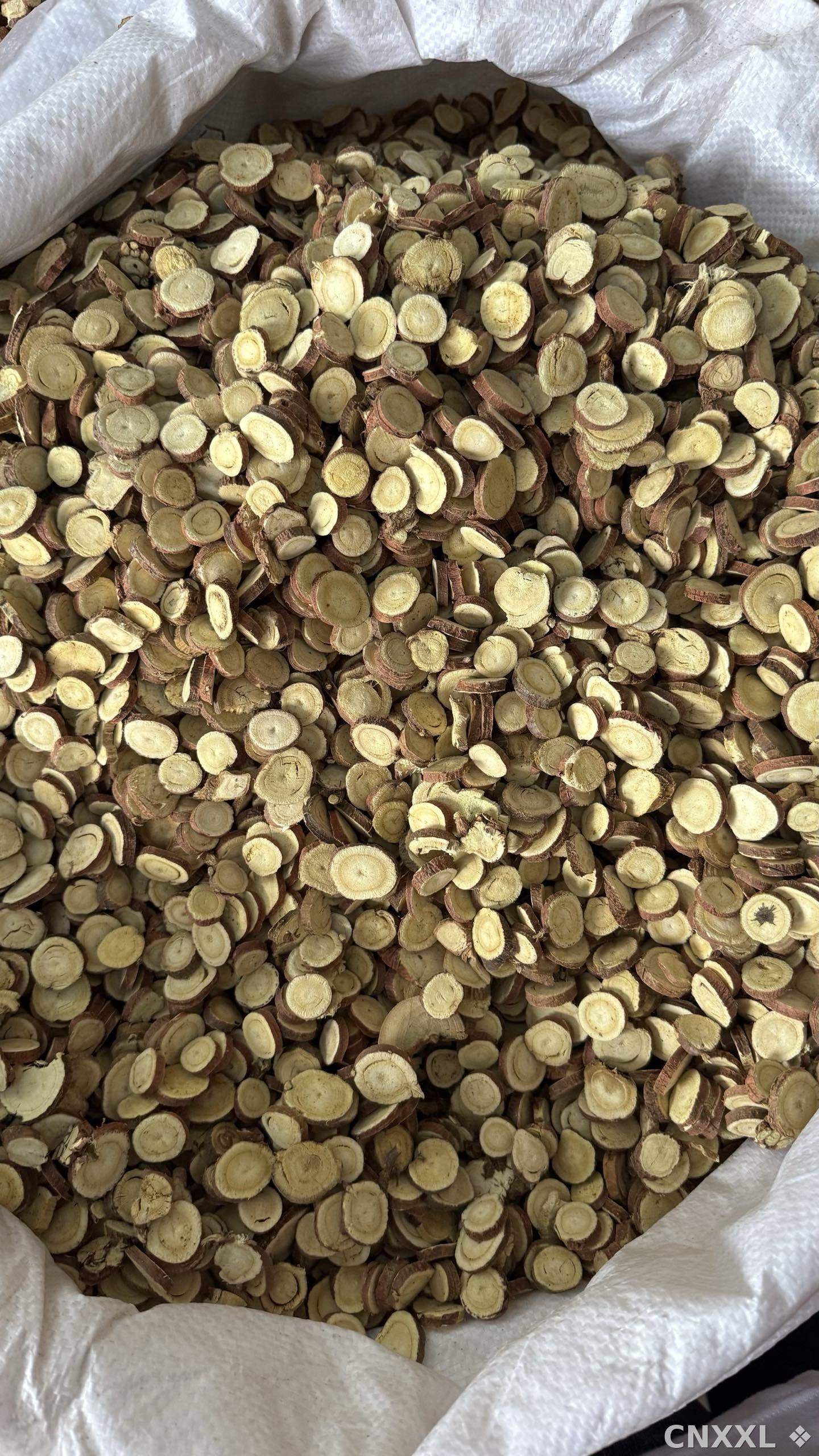 spice_11233_83a9df40_3.jpg