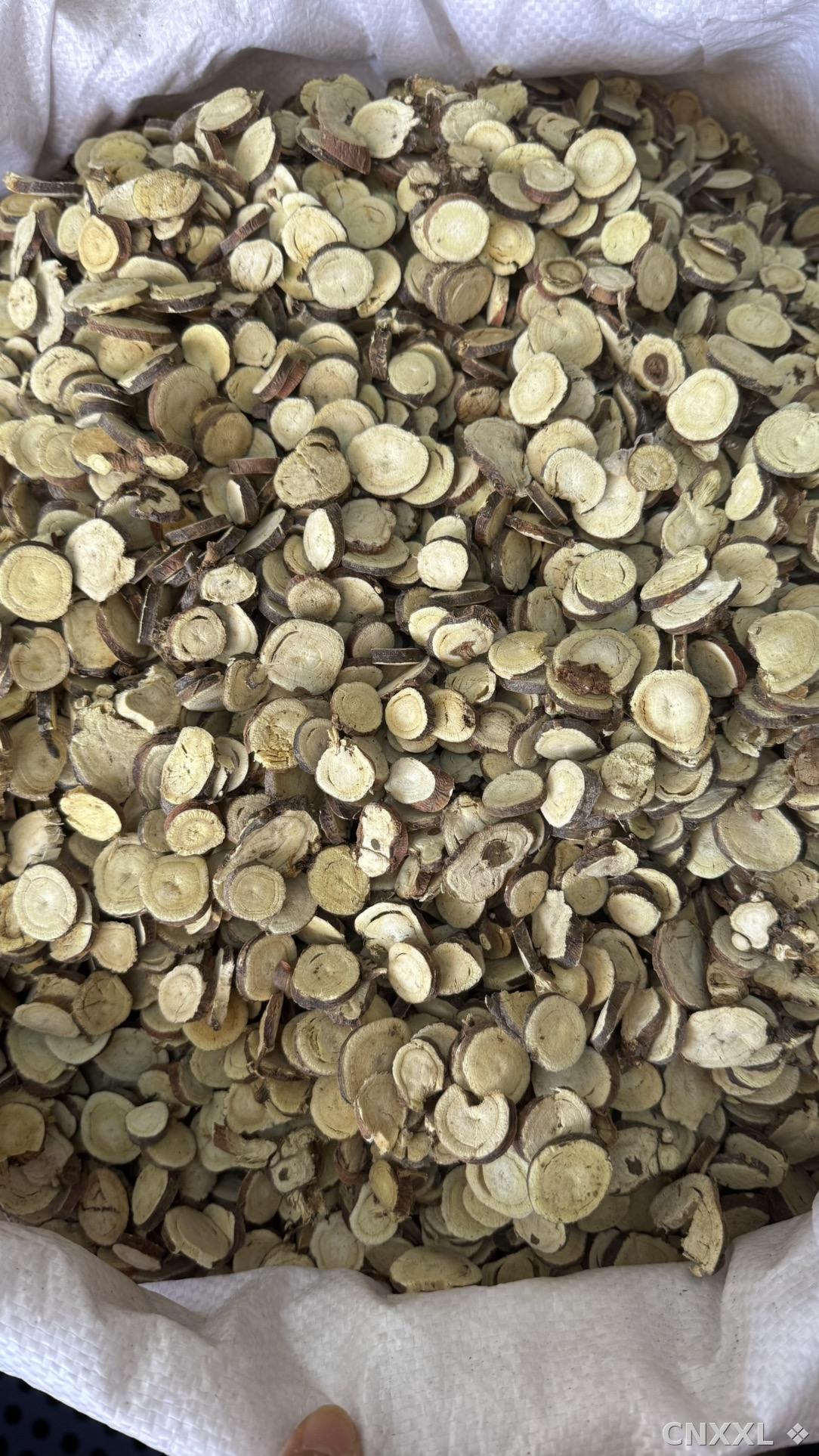 spice_11234_02f85888_3.jpg