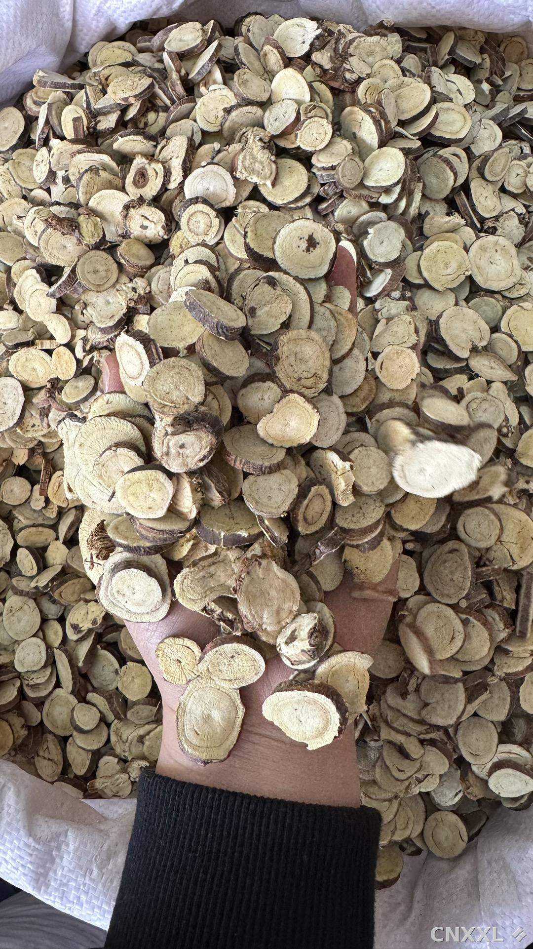 spice_11234_3bfc8ef3_2.jpg