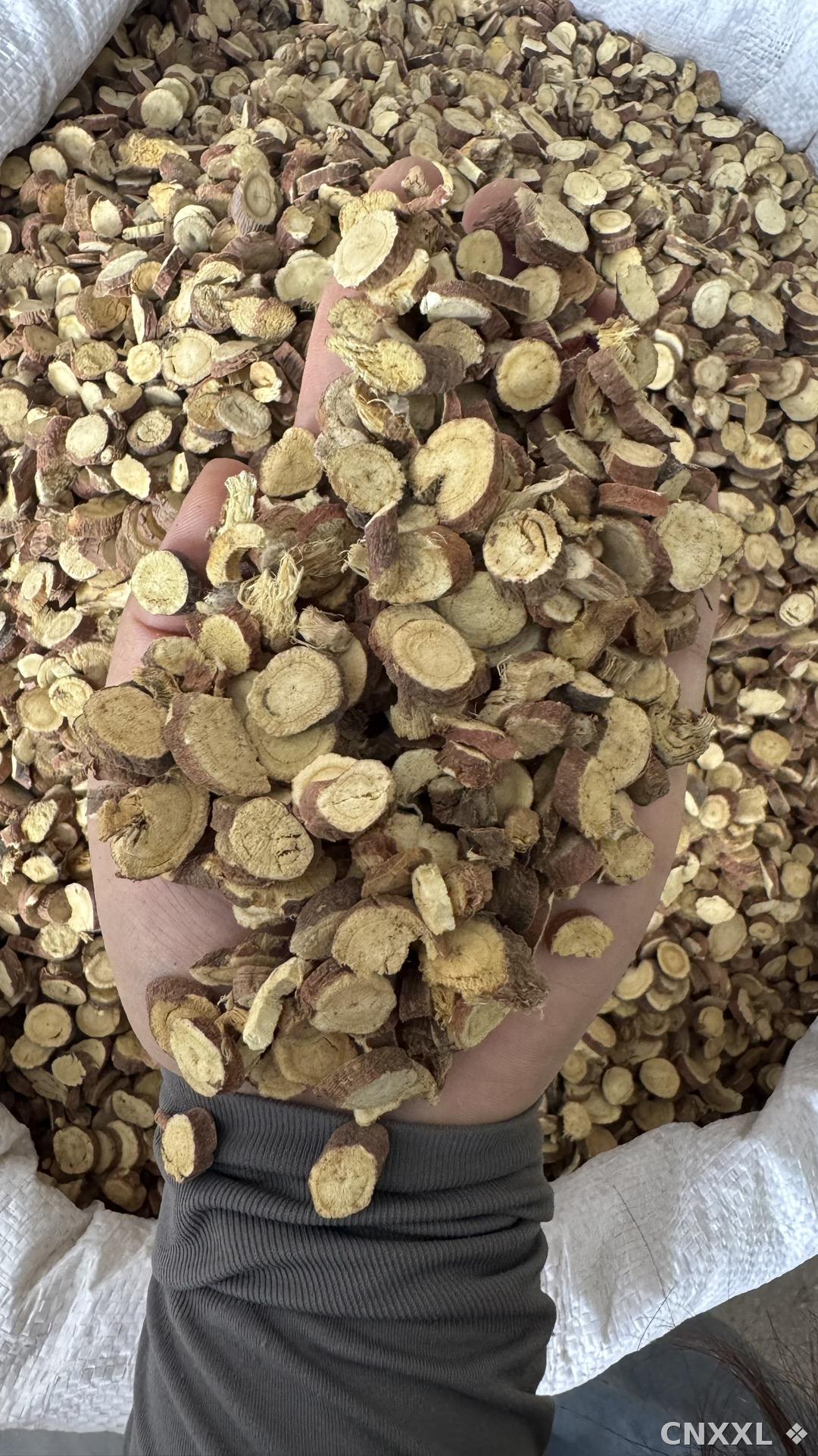 spice_11237_bf5966df_2.jpg