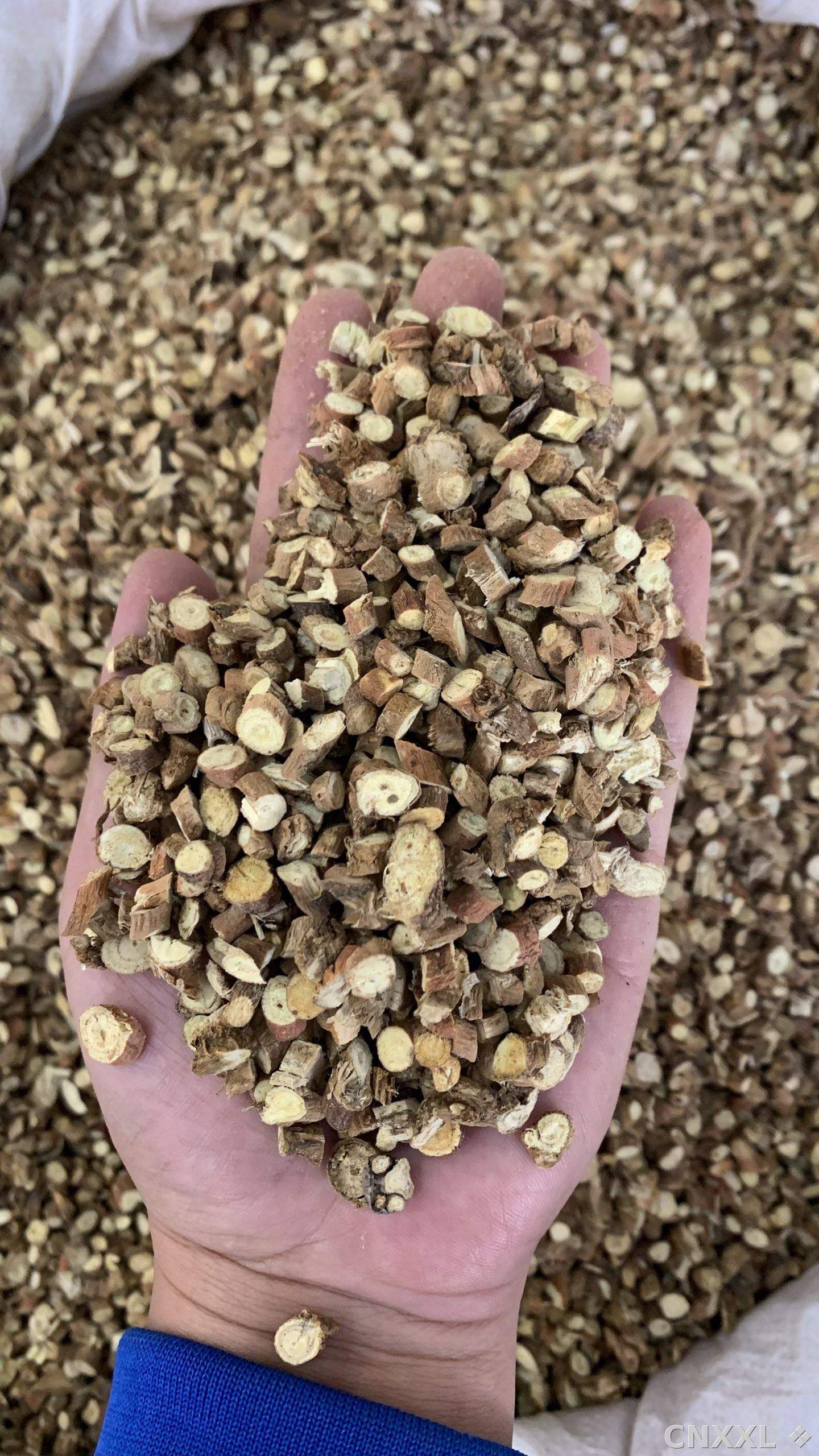 spice_11246_ee472b71_1.jpg