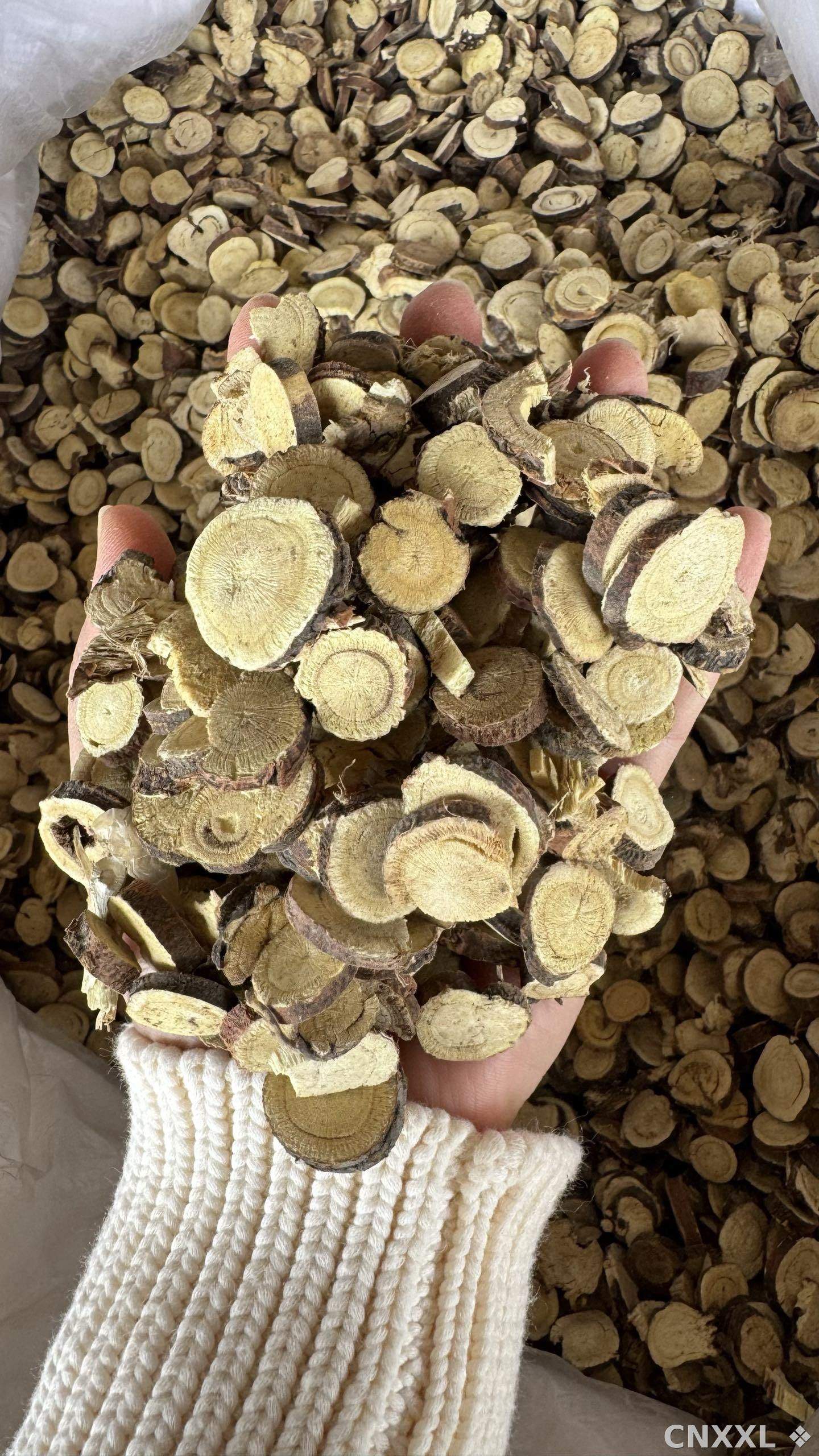 spice_11249_ff398f67_2.jpg