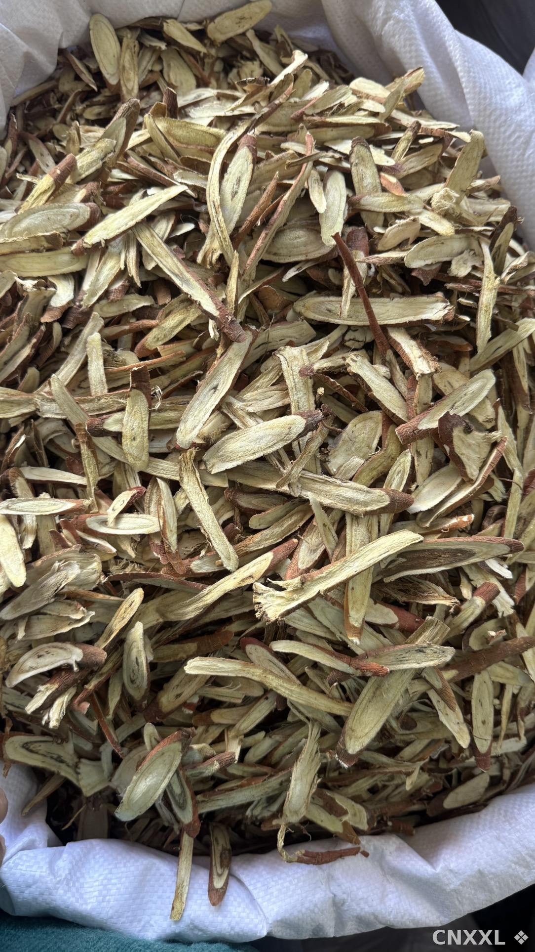 spice_11250_4a54e081_3.jpg