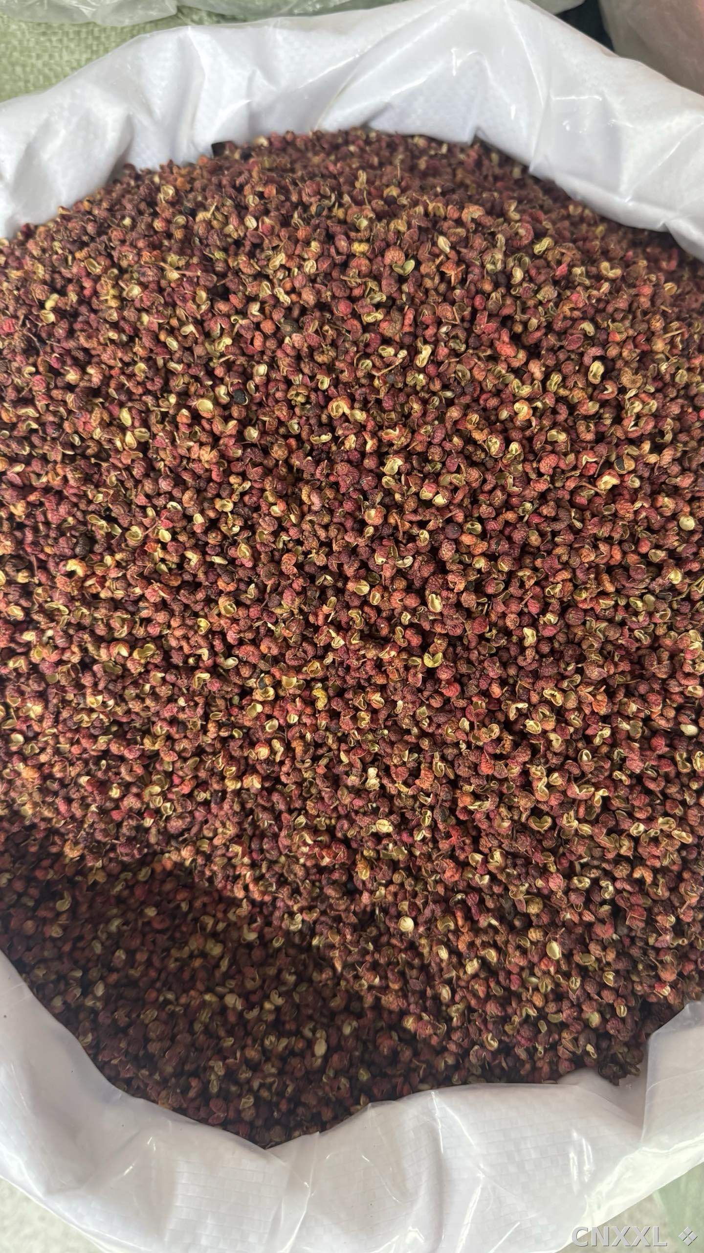 spice_11270_87af9f05_3.jpg