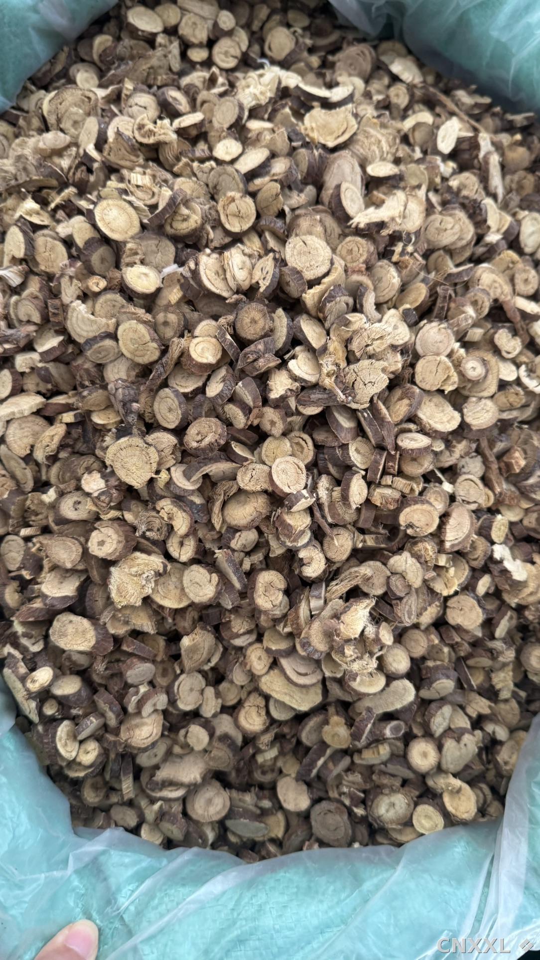 spice_11271_7b6c1192_3.jpg