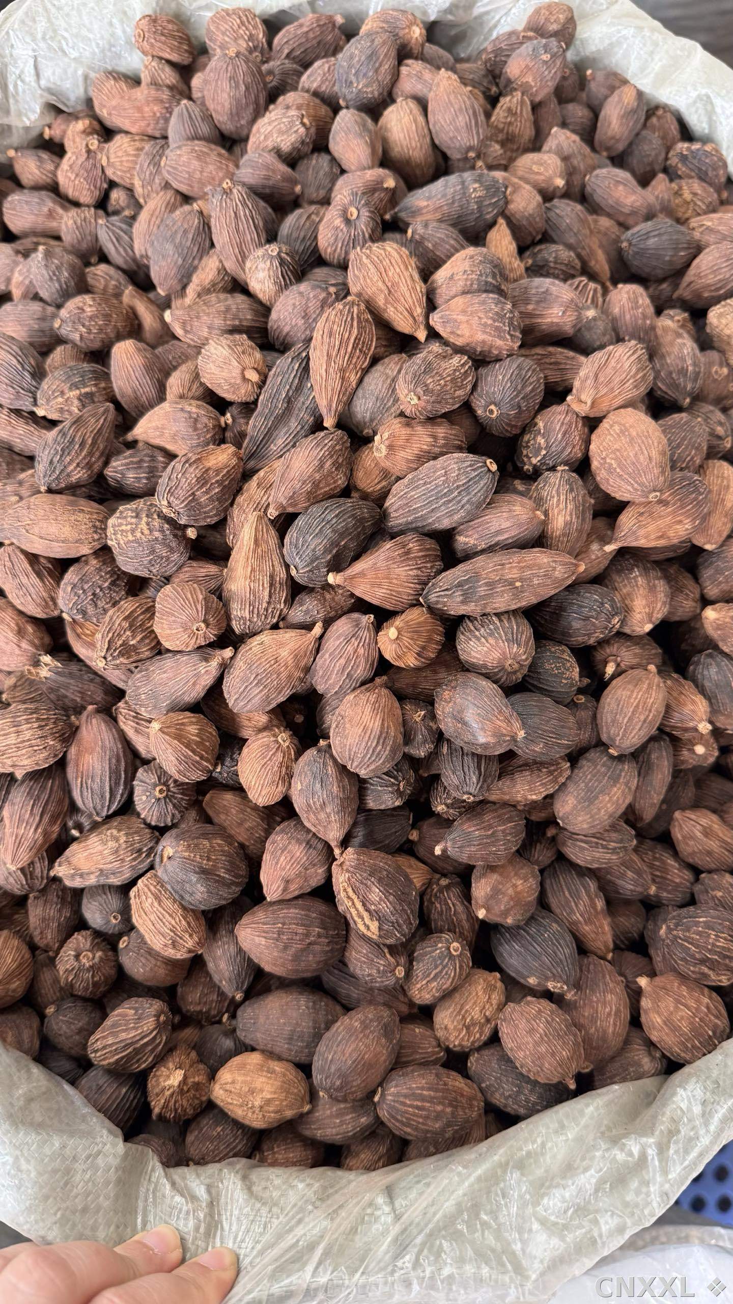 spice_11320_f8e939f0_3.jpg