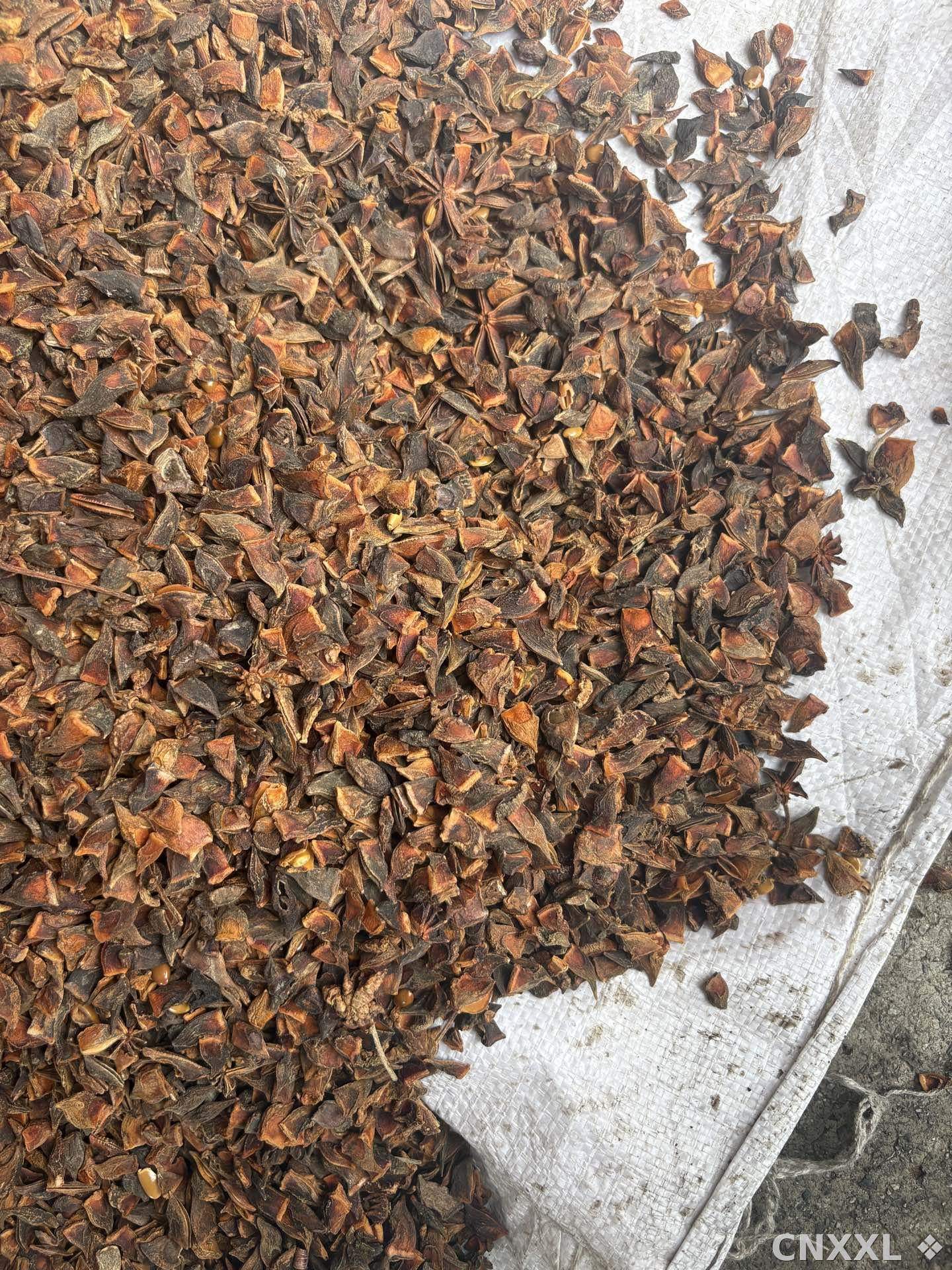 spice_11762_dd16bbd0_3.jpg