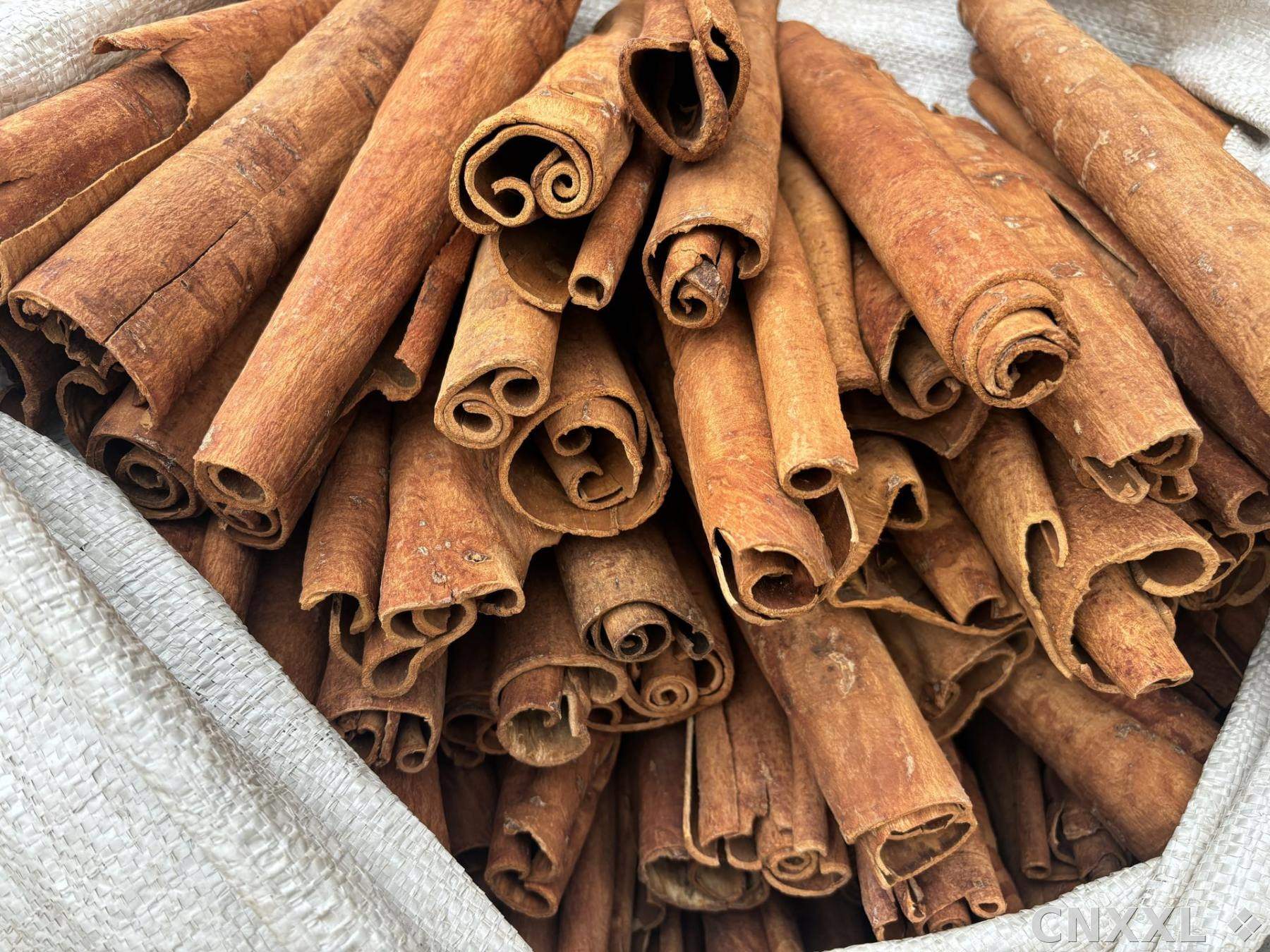 spice_11834_1b9522ca_2.jpg