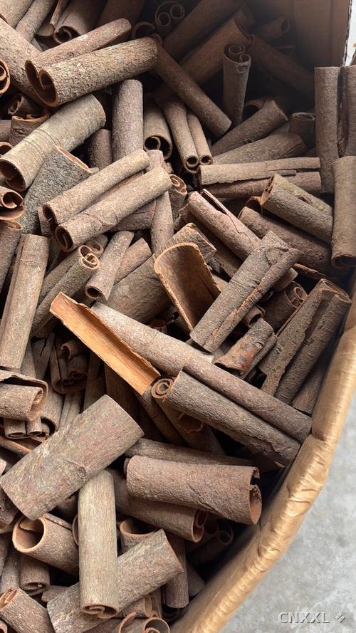 spice_11841_f72532eb_1.jpg