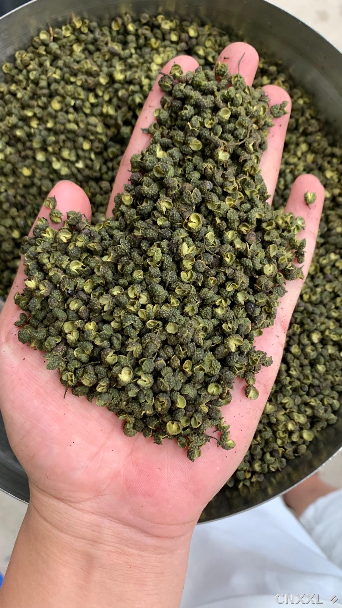 spice_11888_0b838dd7_2.jpg