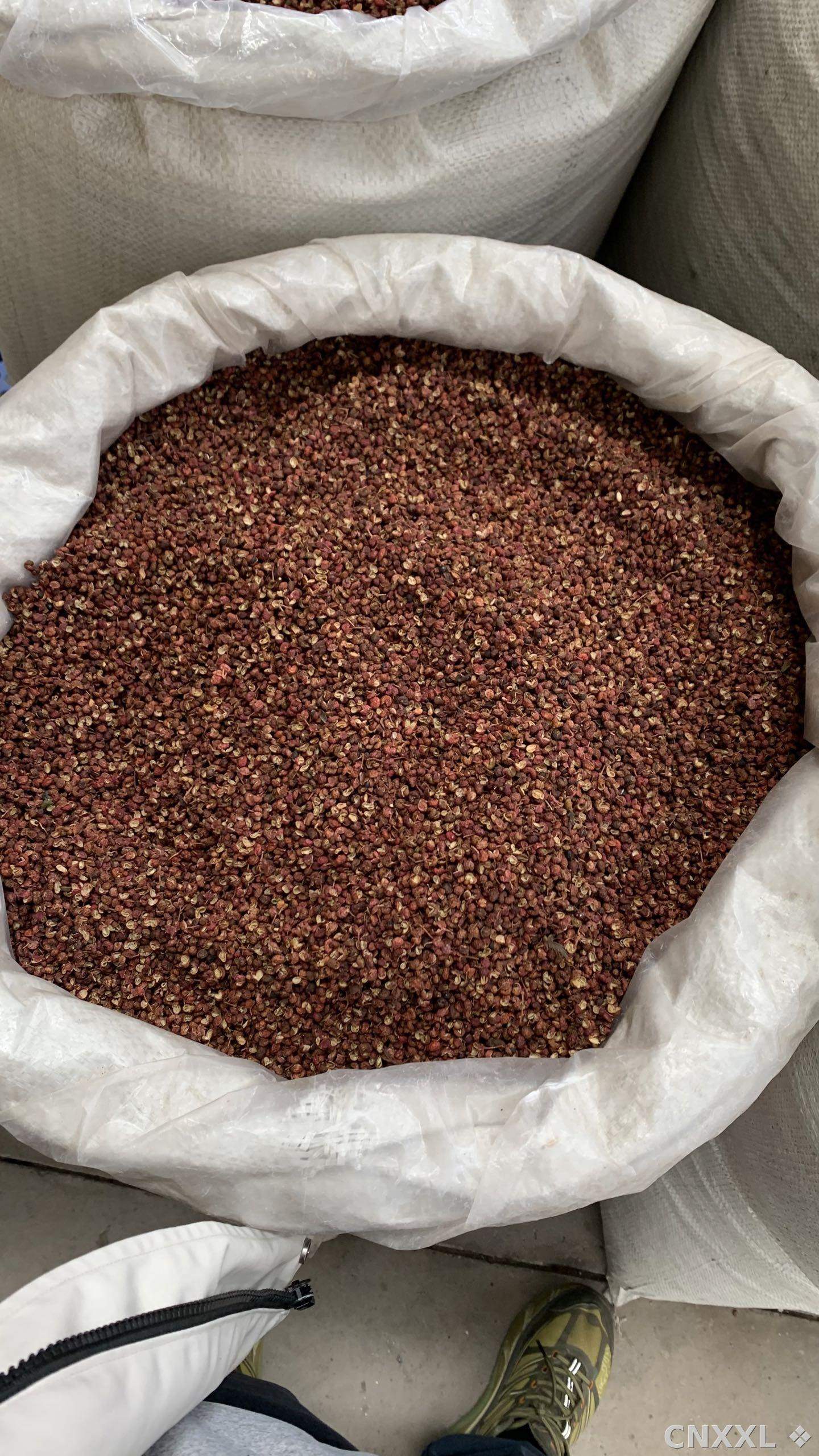 spice_11890_f92d8290_3.jpg