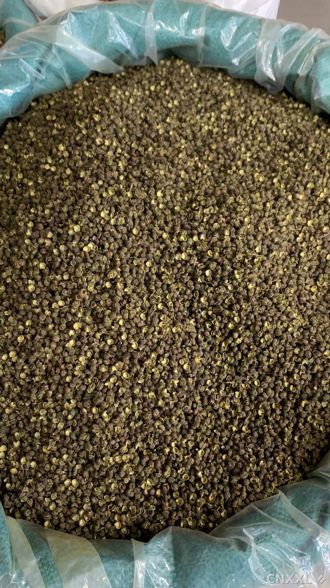 spice_11891_546de436_3.jpg