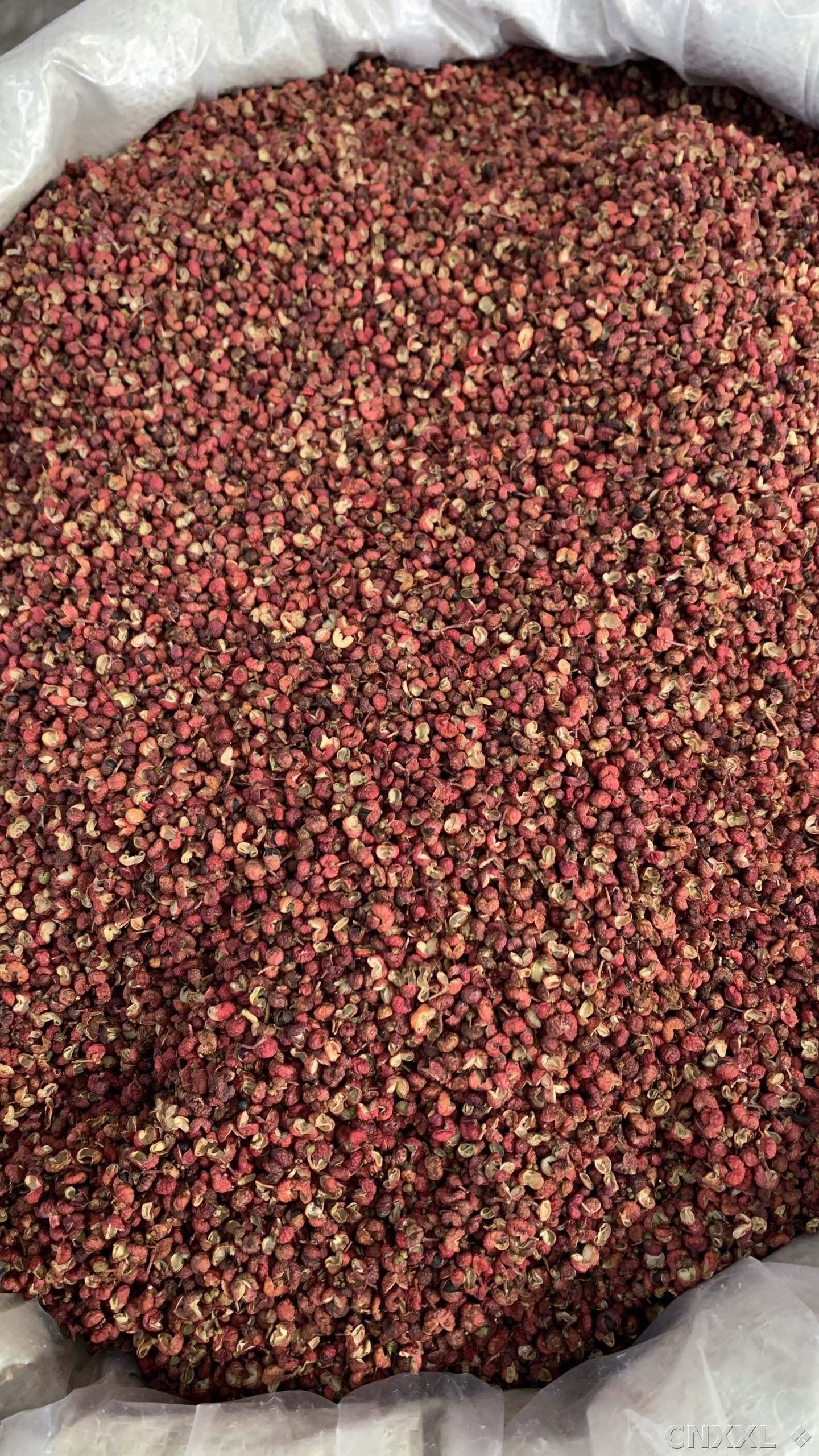 spice_11894_f7c4a951_3.jpg
