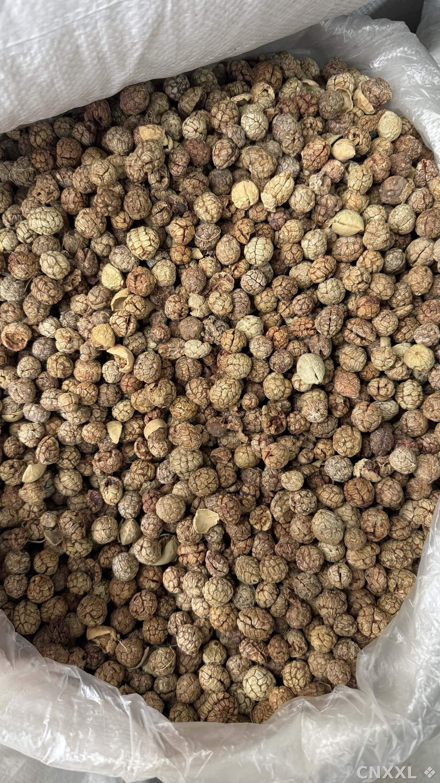 spice_11961_6c7cceb4_3.jpg