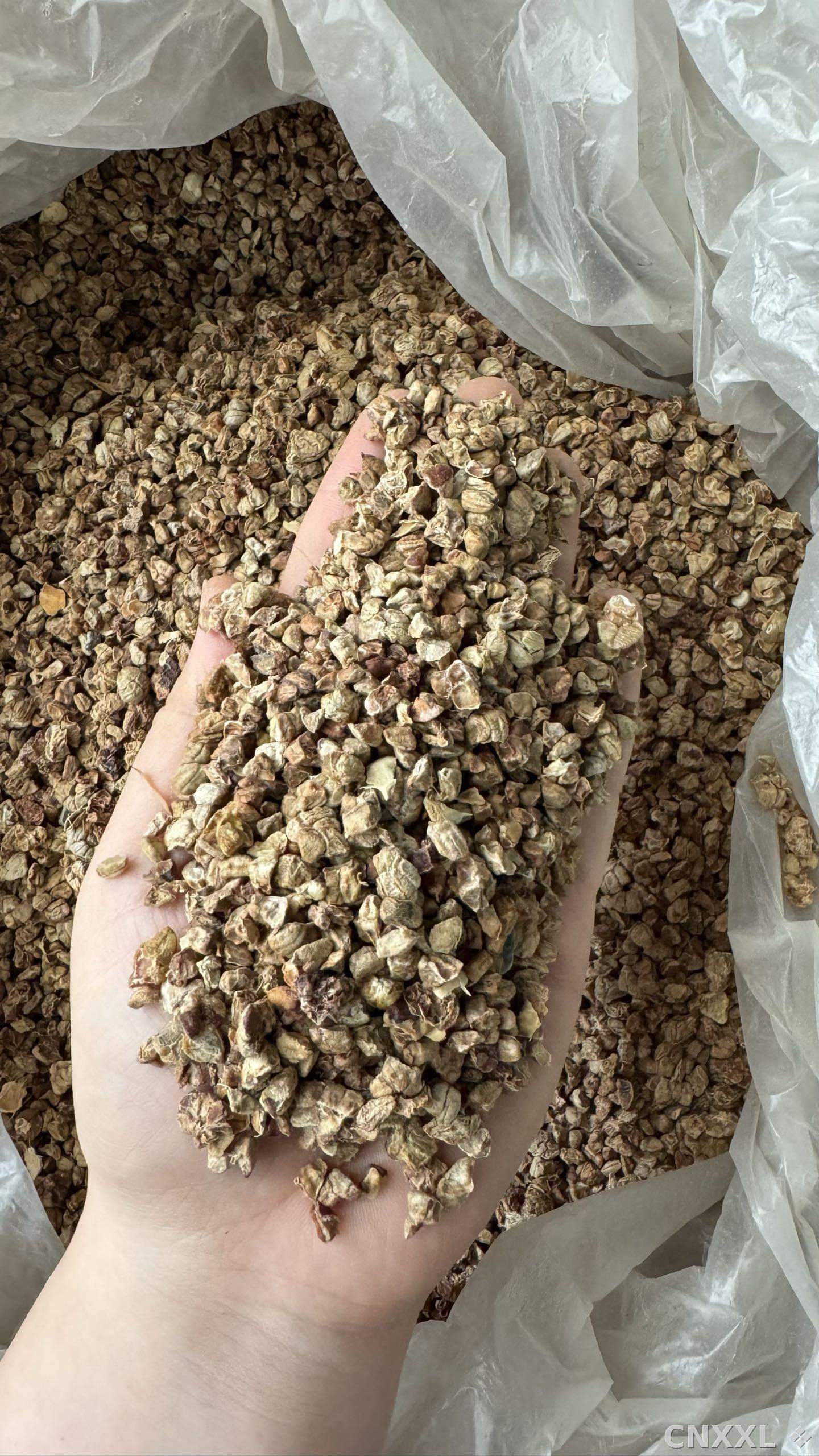 spice_11962_2f84c1e5_1.jpg