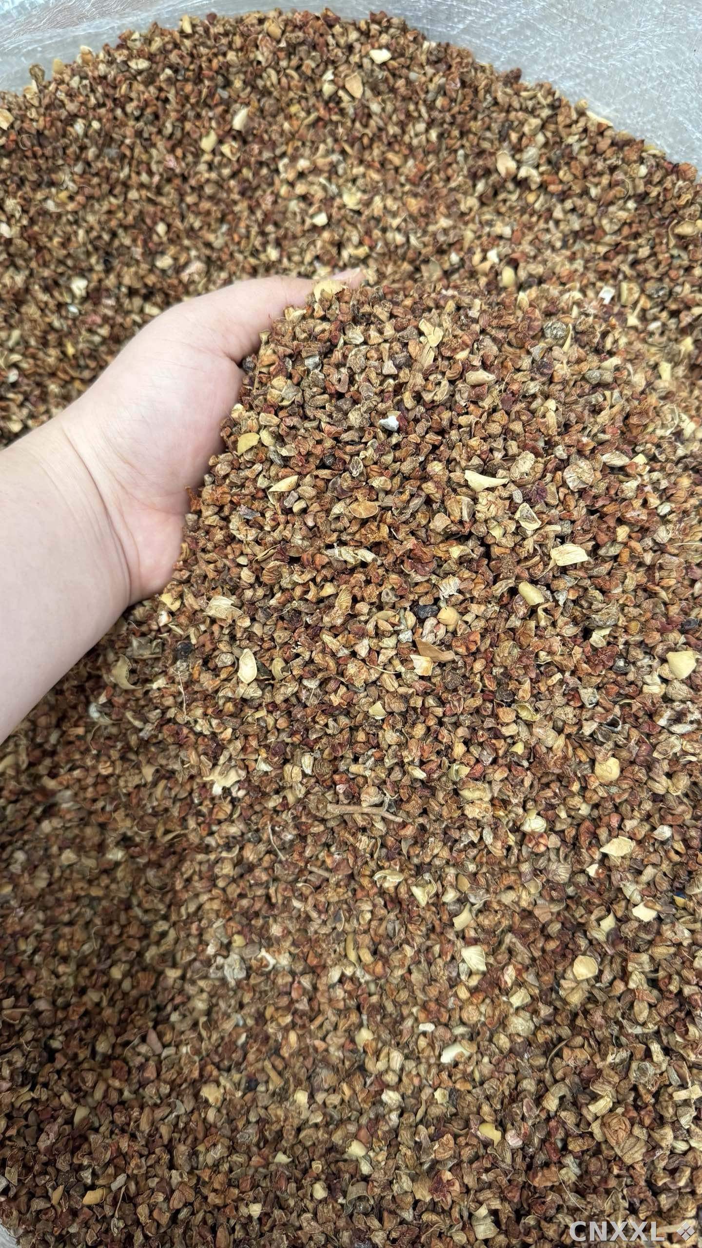 spice_11963_3fbc762d_3.jpg