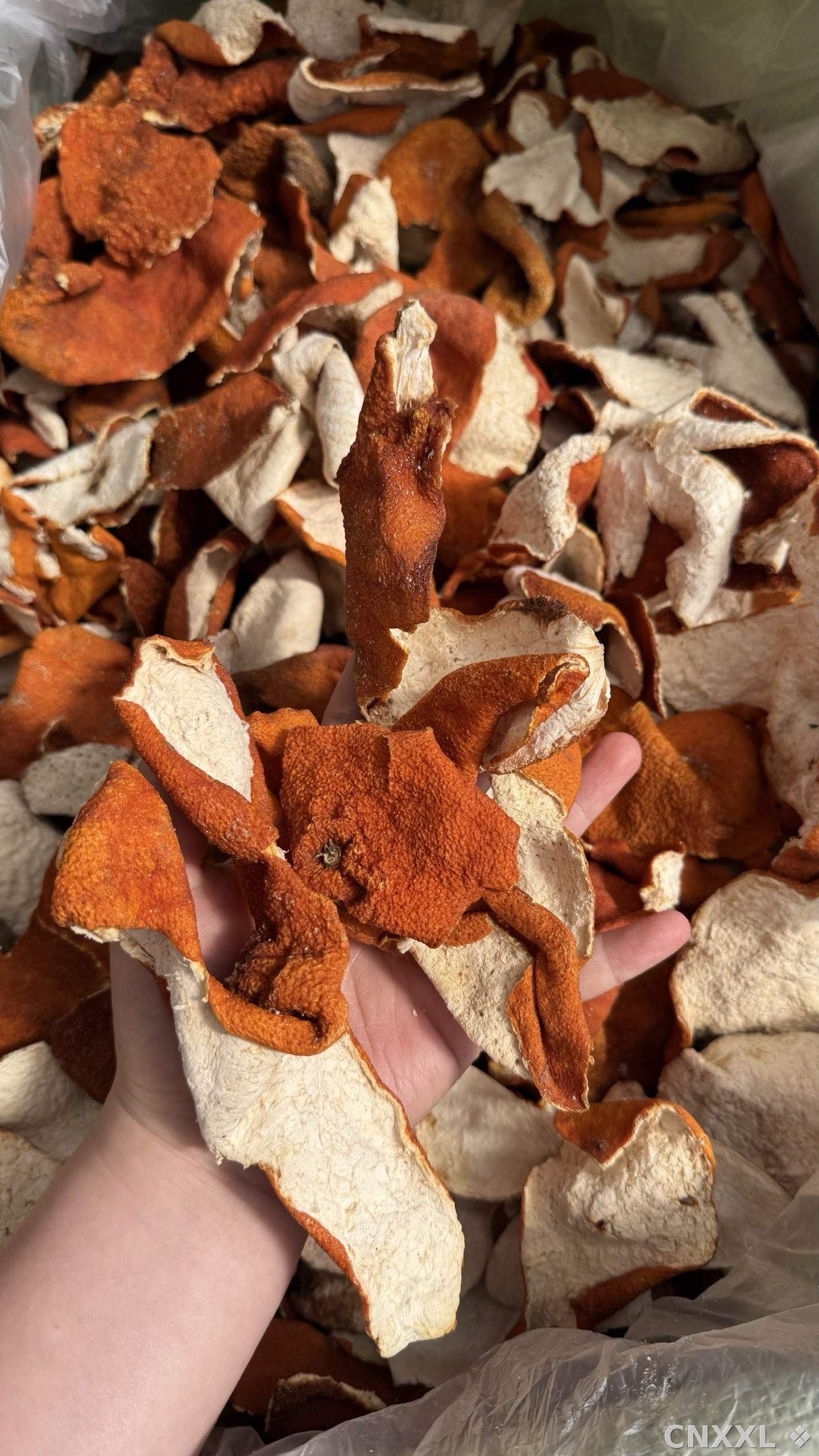 spice_123_71654f18_1.jpg
