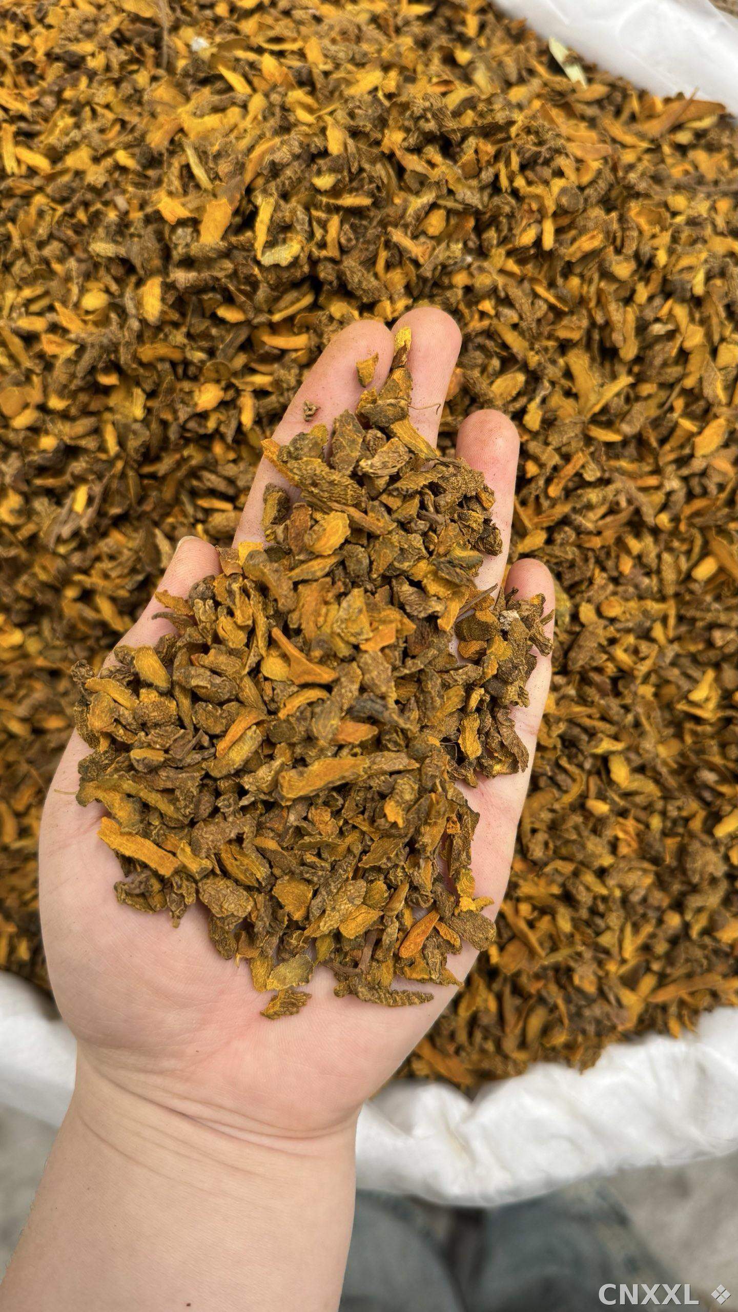 spice_12442_e37e2a3e_2.jpg