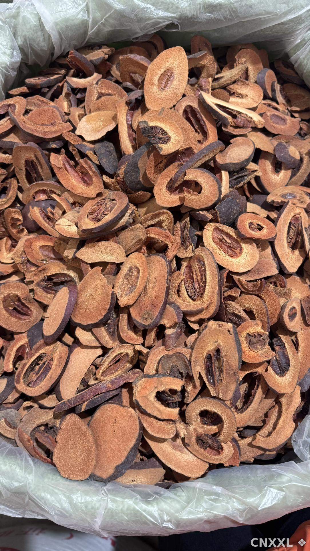 spice_12445_32a301f7_3.jpg