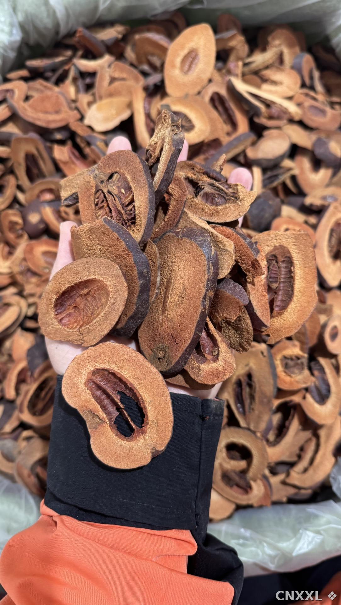 spice_12445_e1d6accb_1.jpg