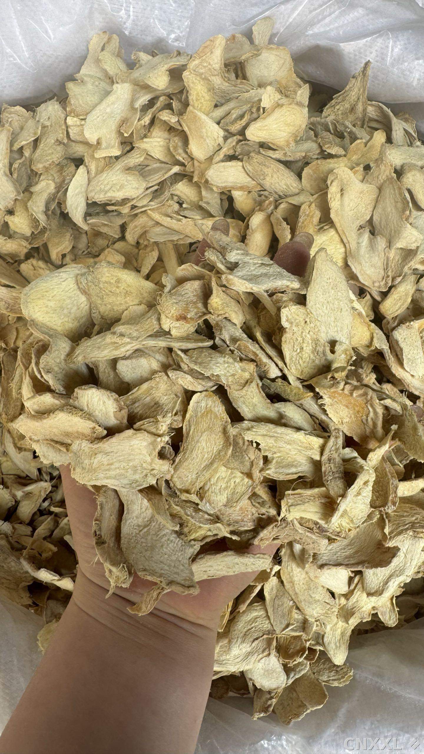 spice_12455_10f4b65d_2.jpg