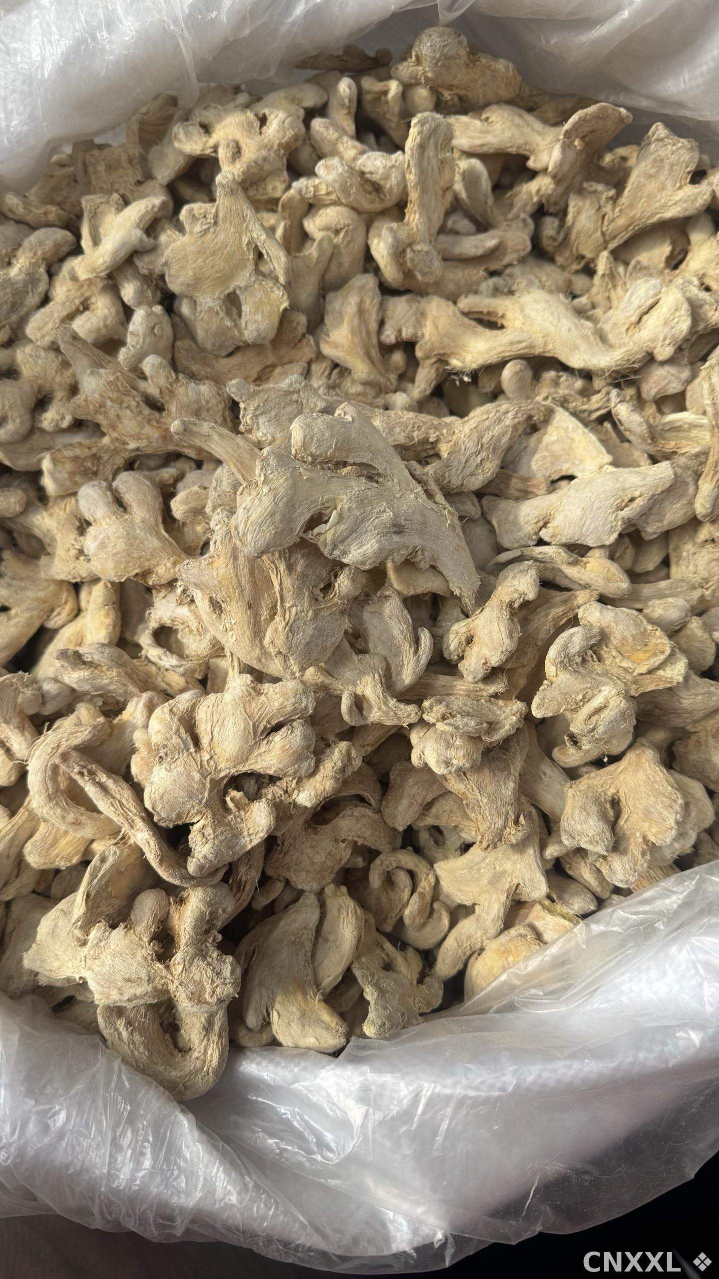 spice_12460_f5fbf7fb_3.jpg