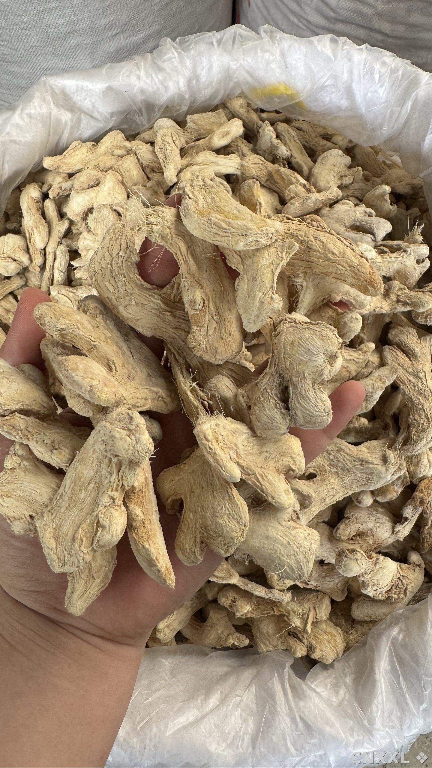 spice_12463_fd90ceca_1.jpg