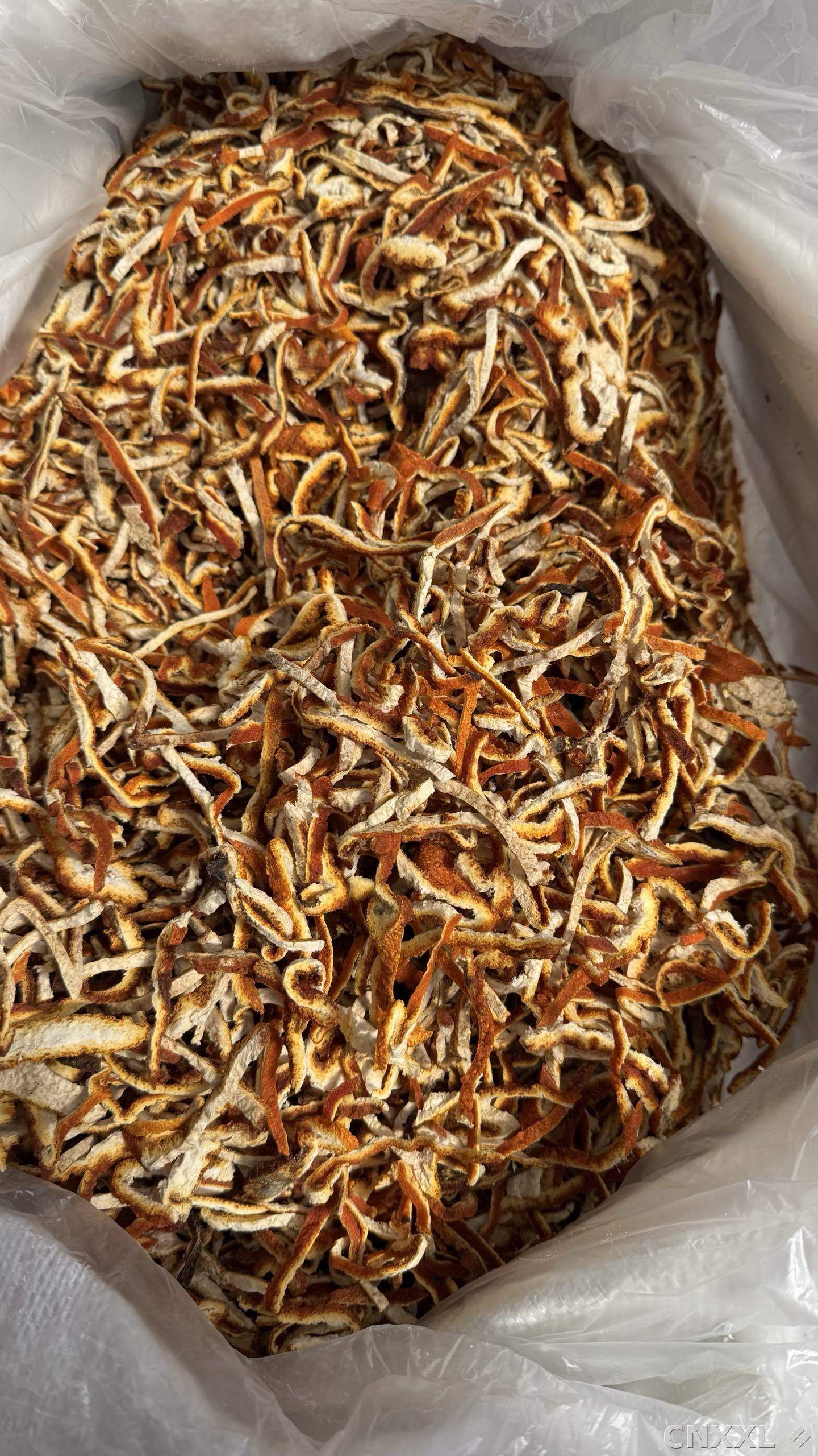 spice_124_b6e9bcc2_3.jpg