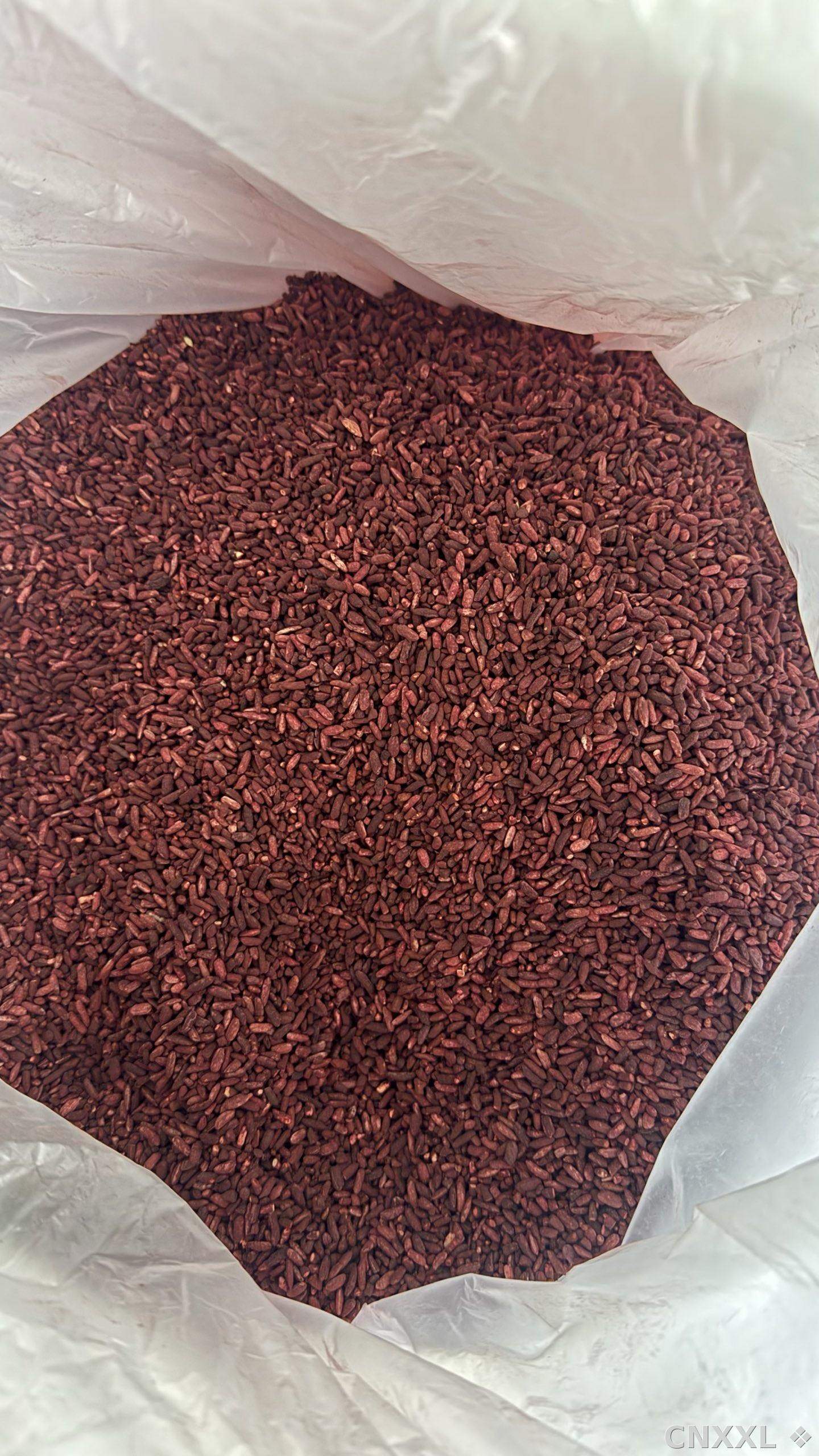 spice_125_34ad0b0a_3.jpg